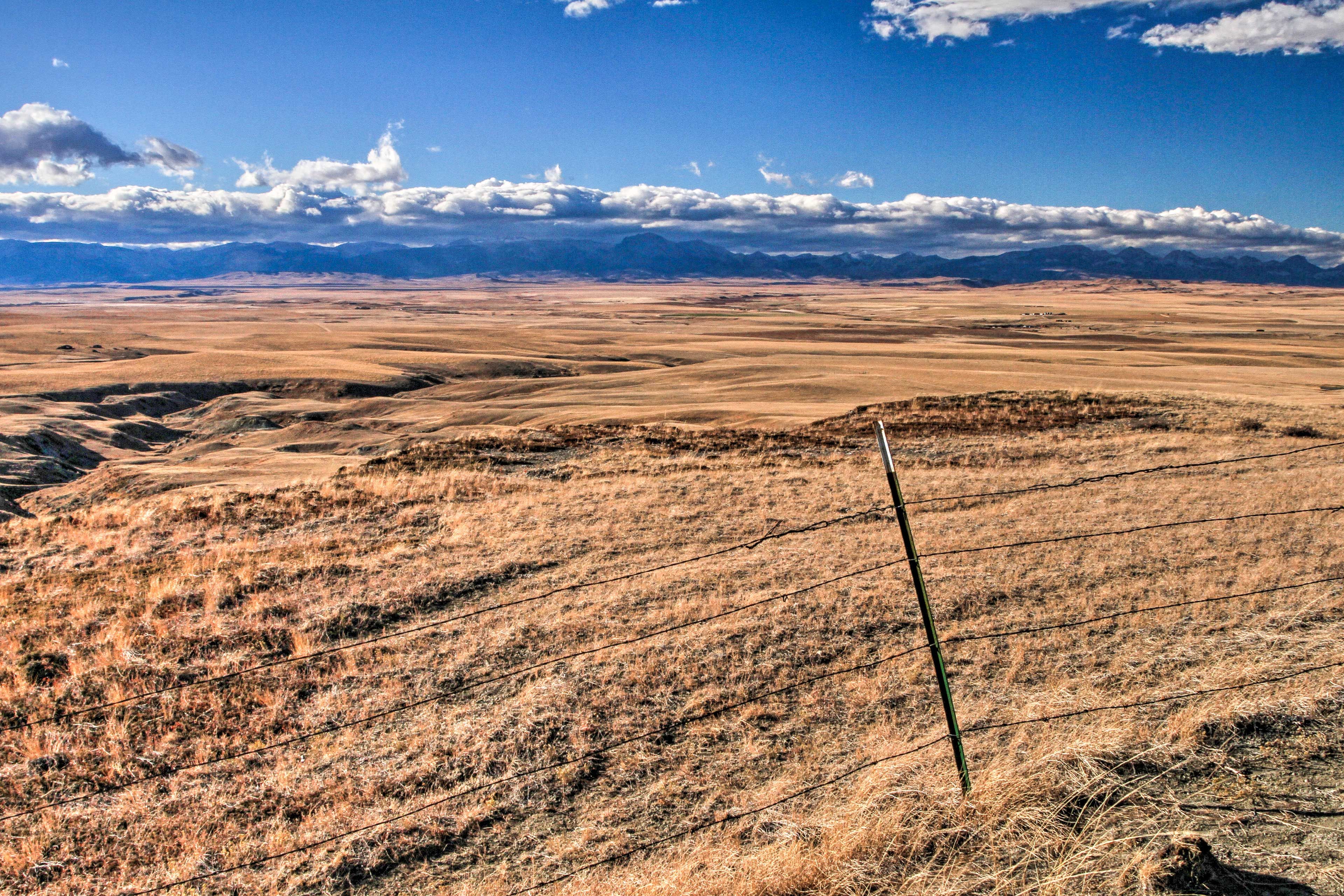 Lookout Views