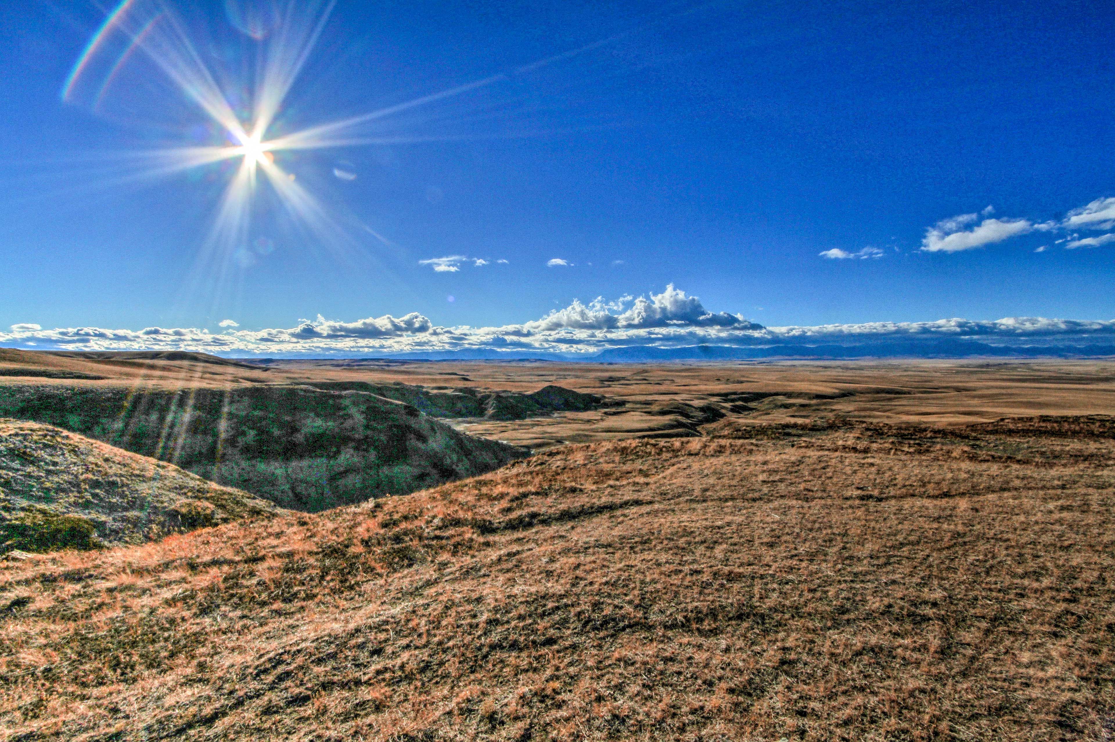 Lookout Views
