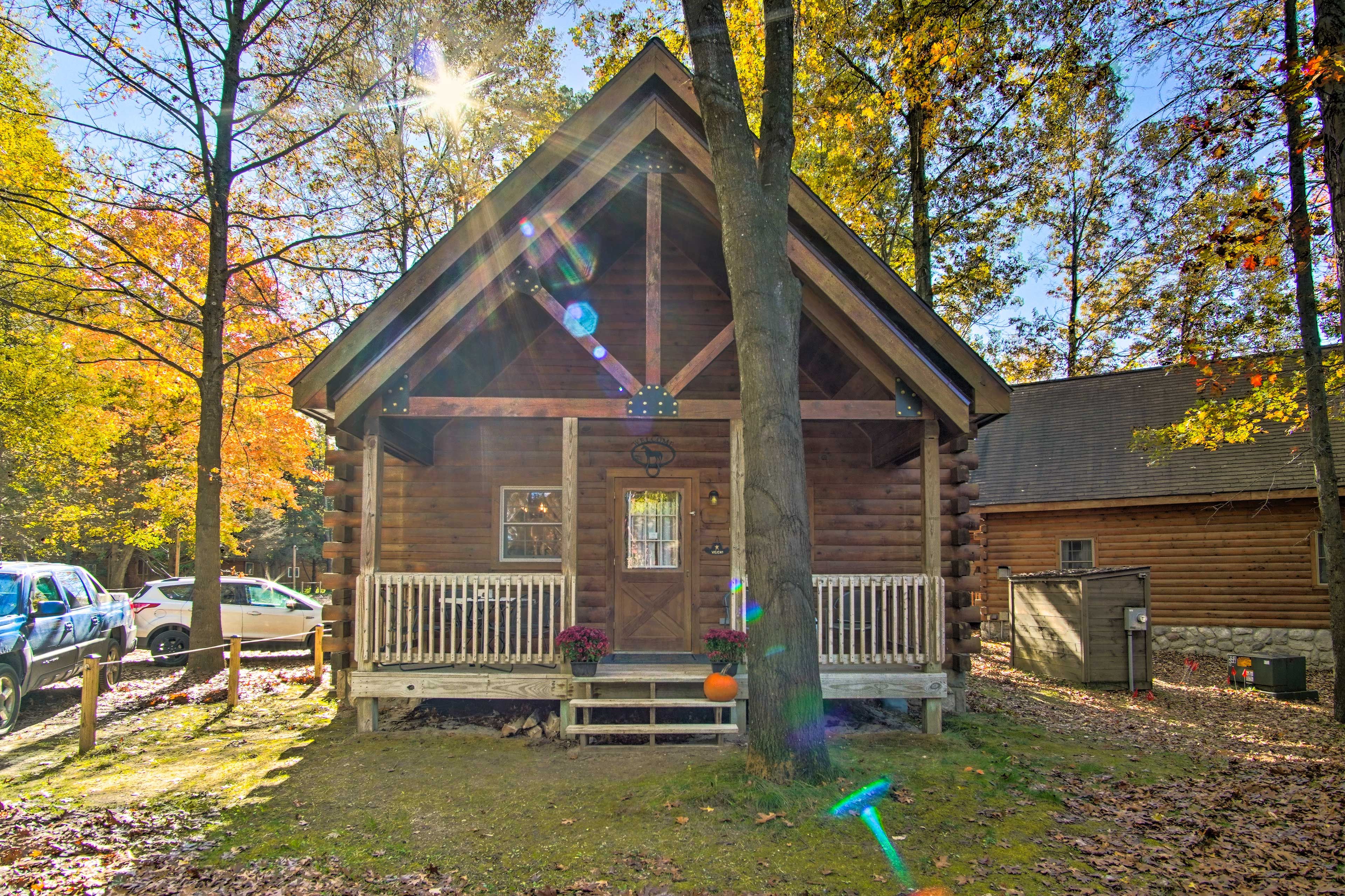 Cabin Exterior