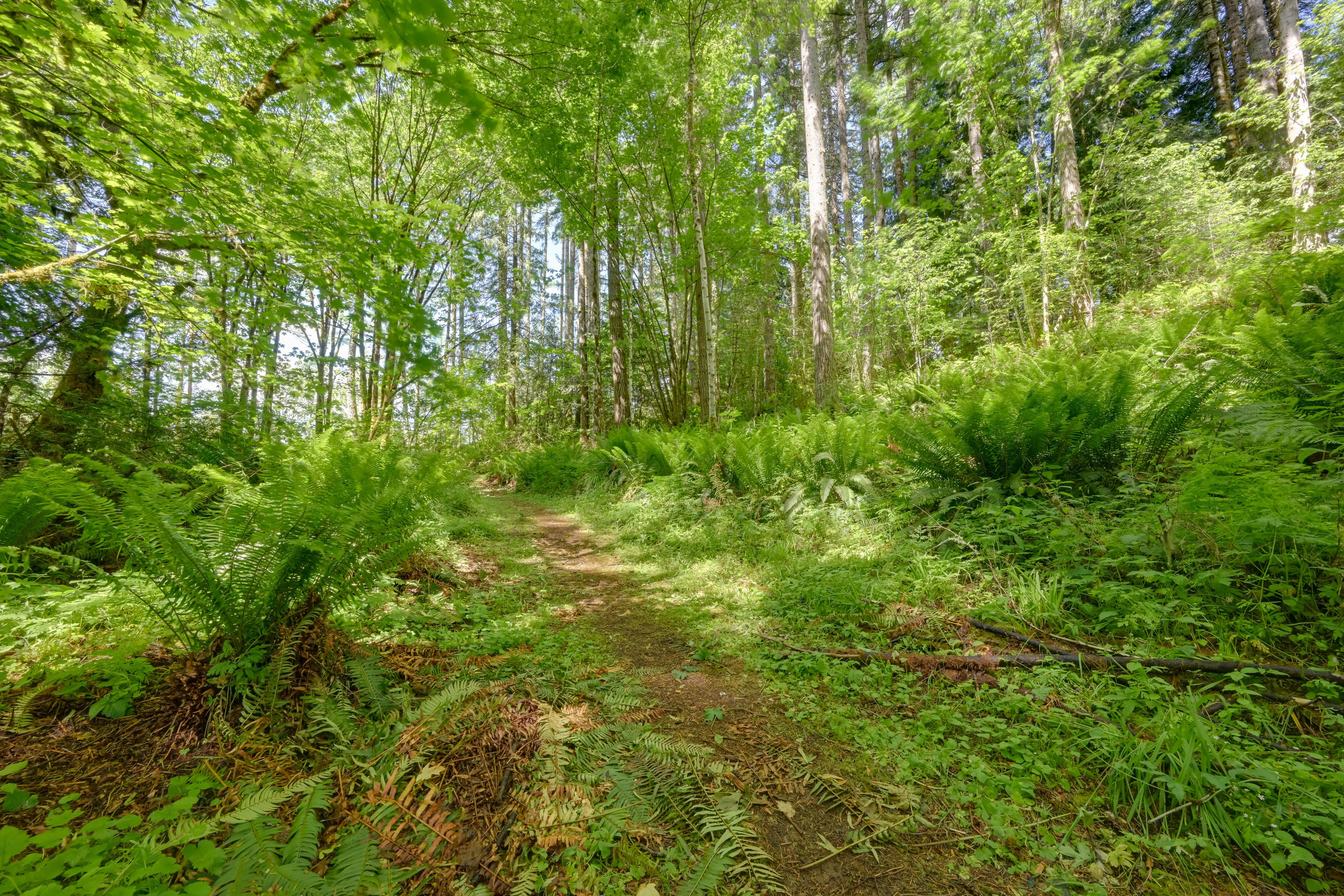 Image 41