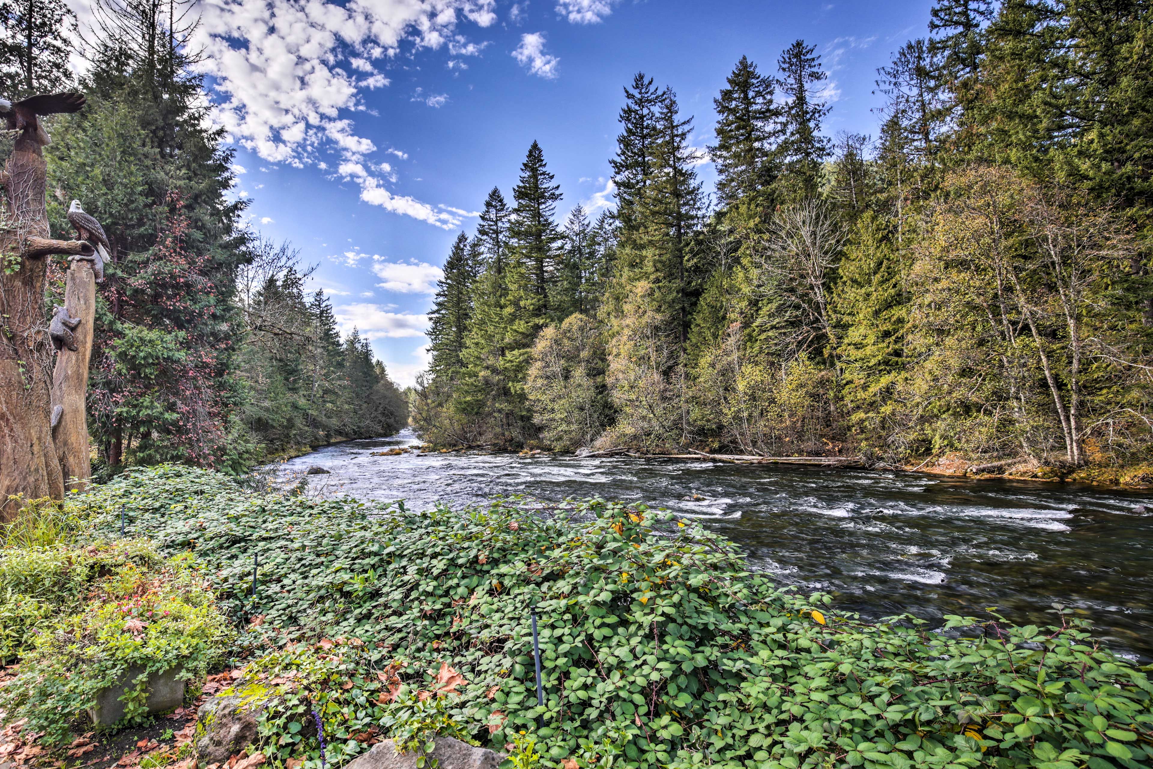 McKenzie River | On-Site Access | Views & Sounds