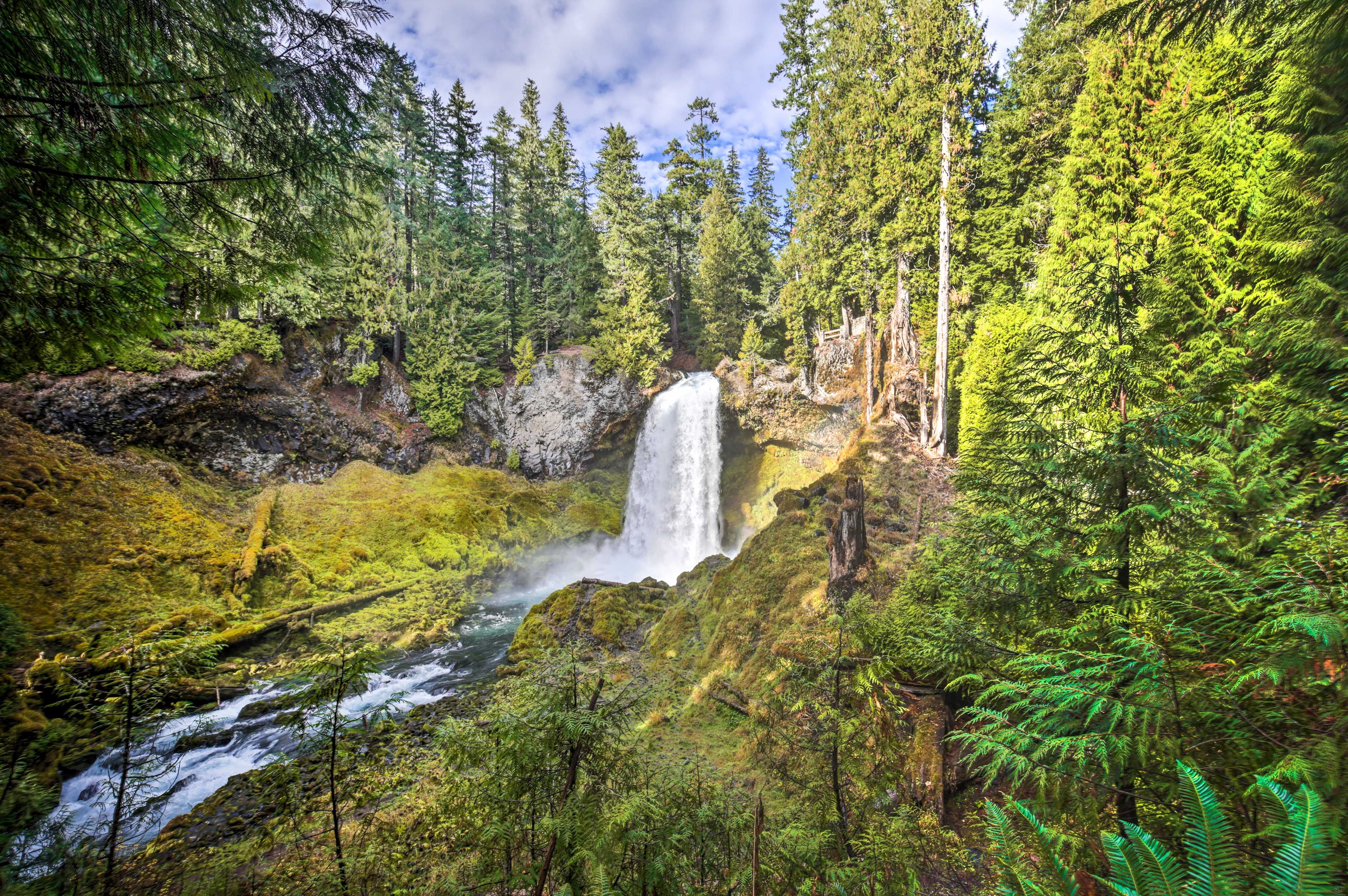 Waterfall | Access via McKenzie River Trail
