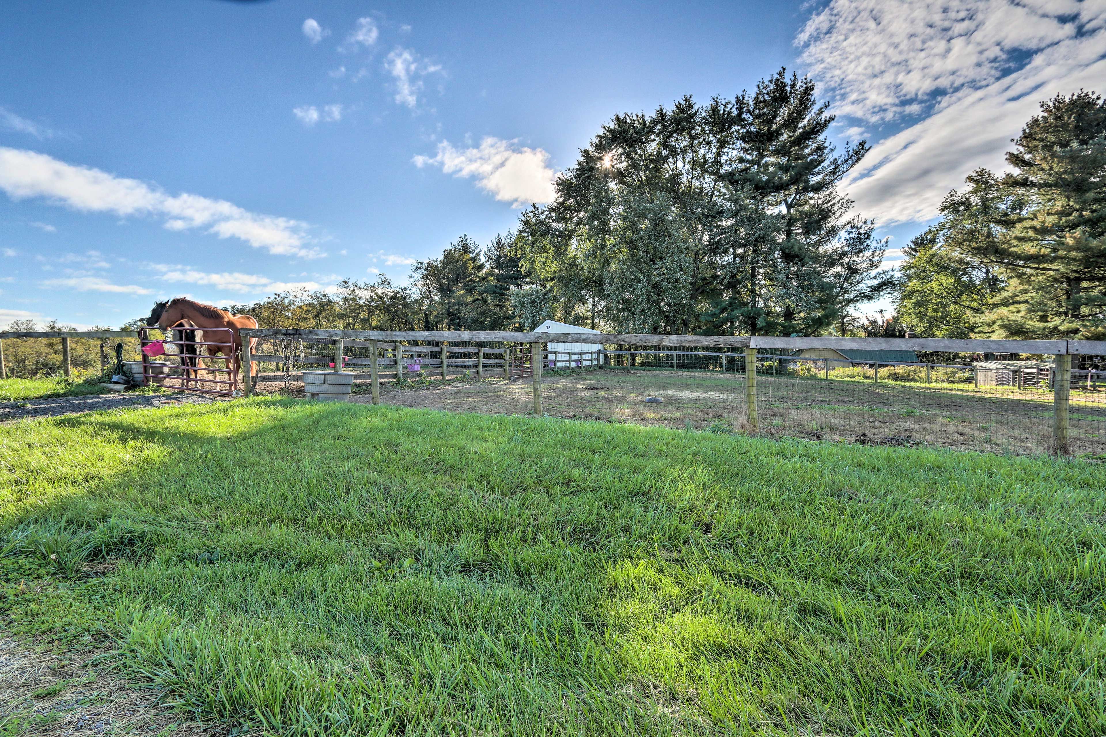 Working Horse Farm
