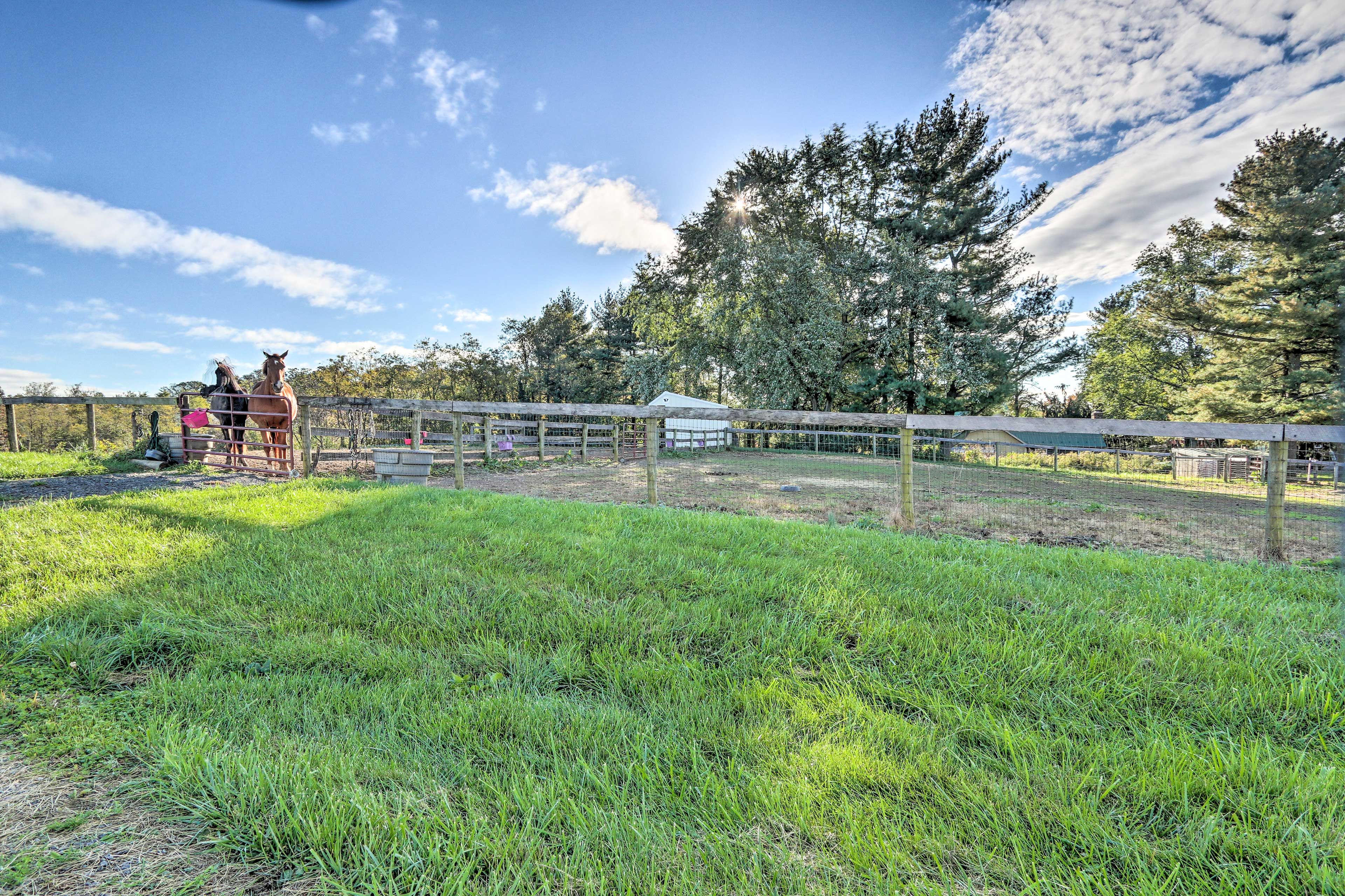 Working Horse Farm | RV/Trailer Parking