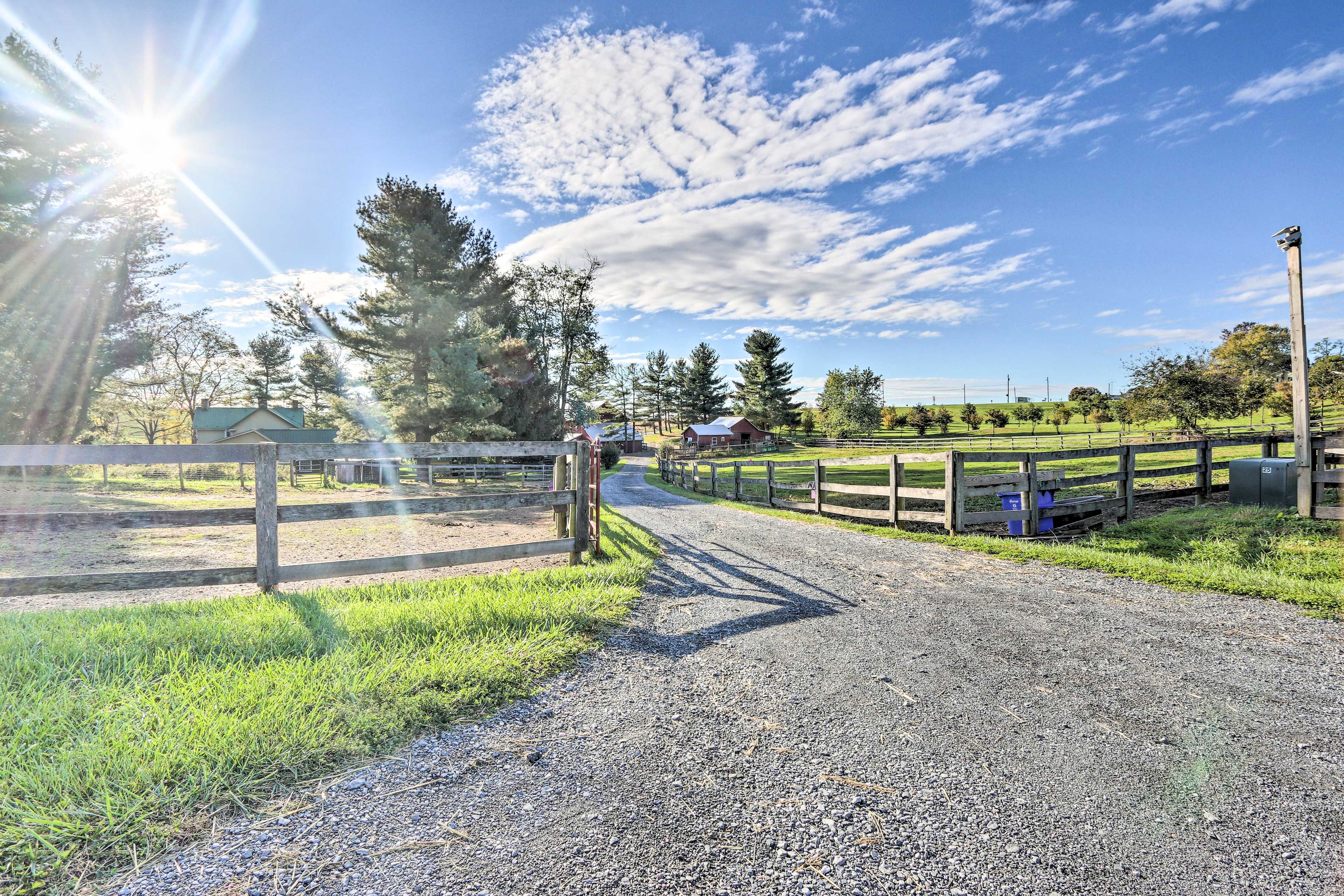 Working Horse Farm