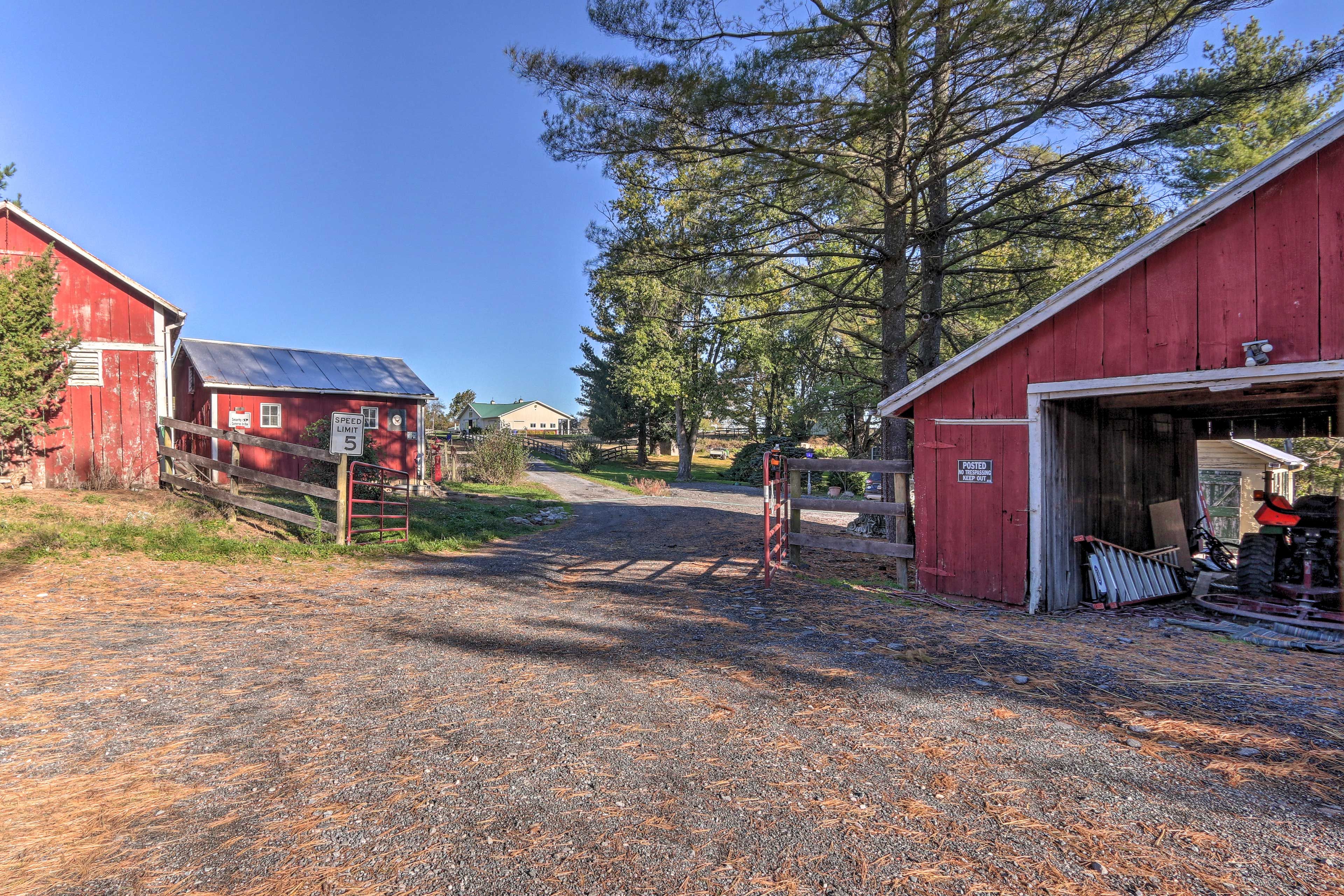Working Horse Farm