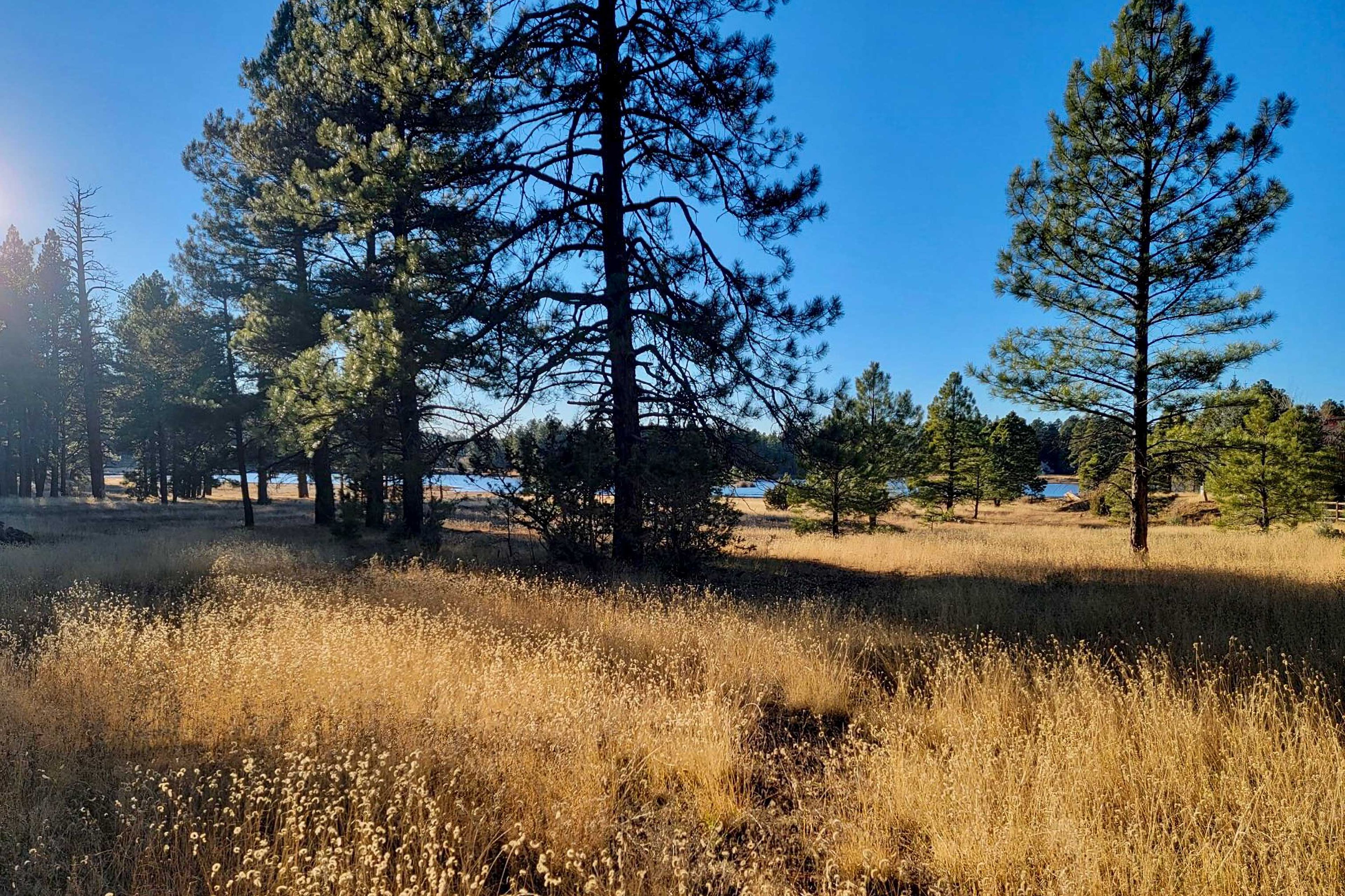 Surrounding Neighborhood