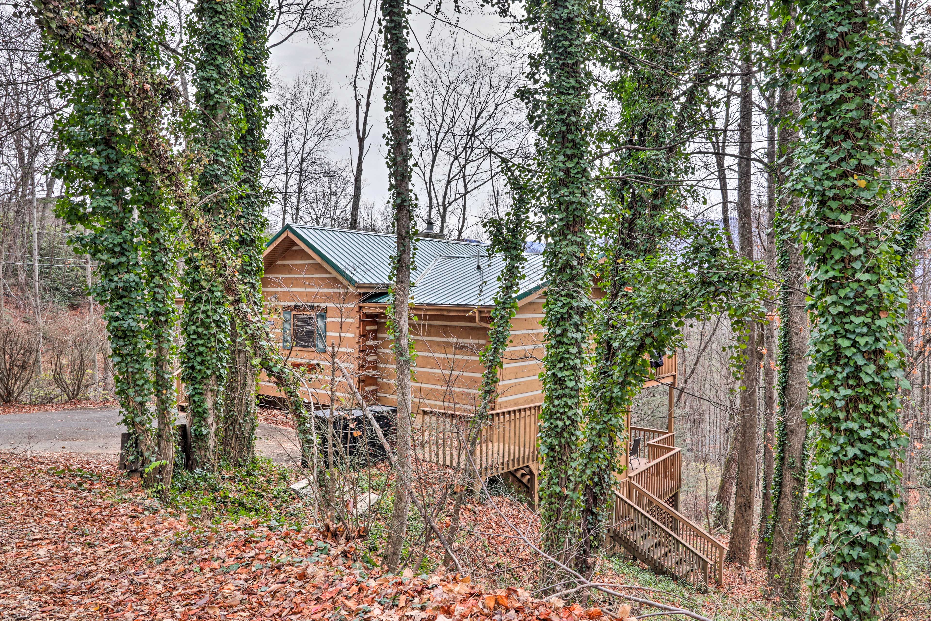 Cabin Exterior