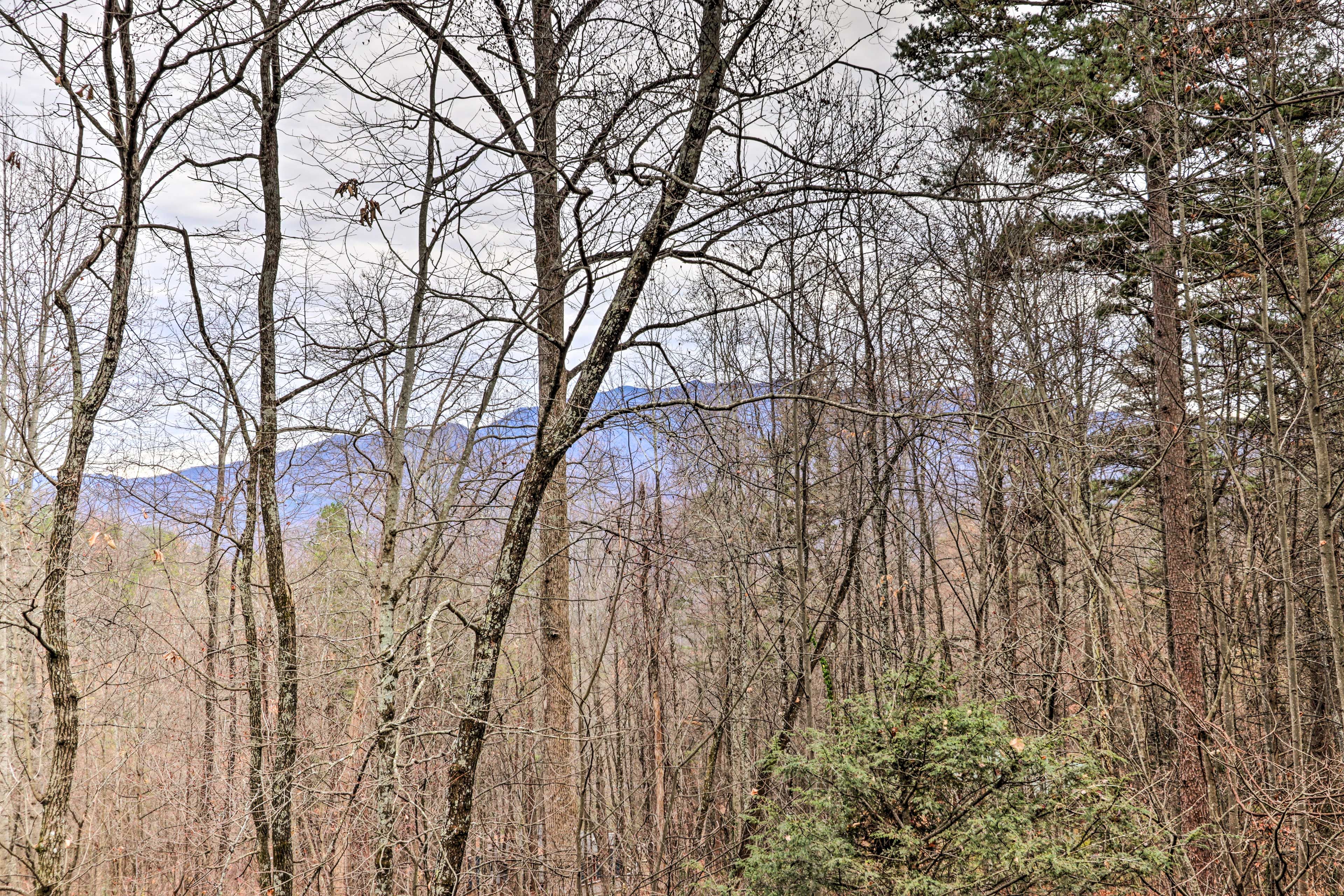 Cabin Views