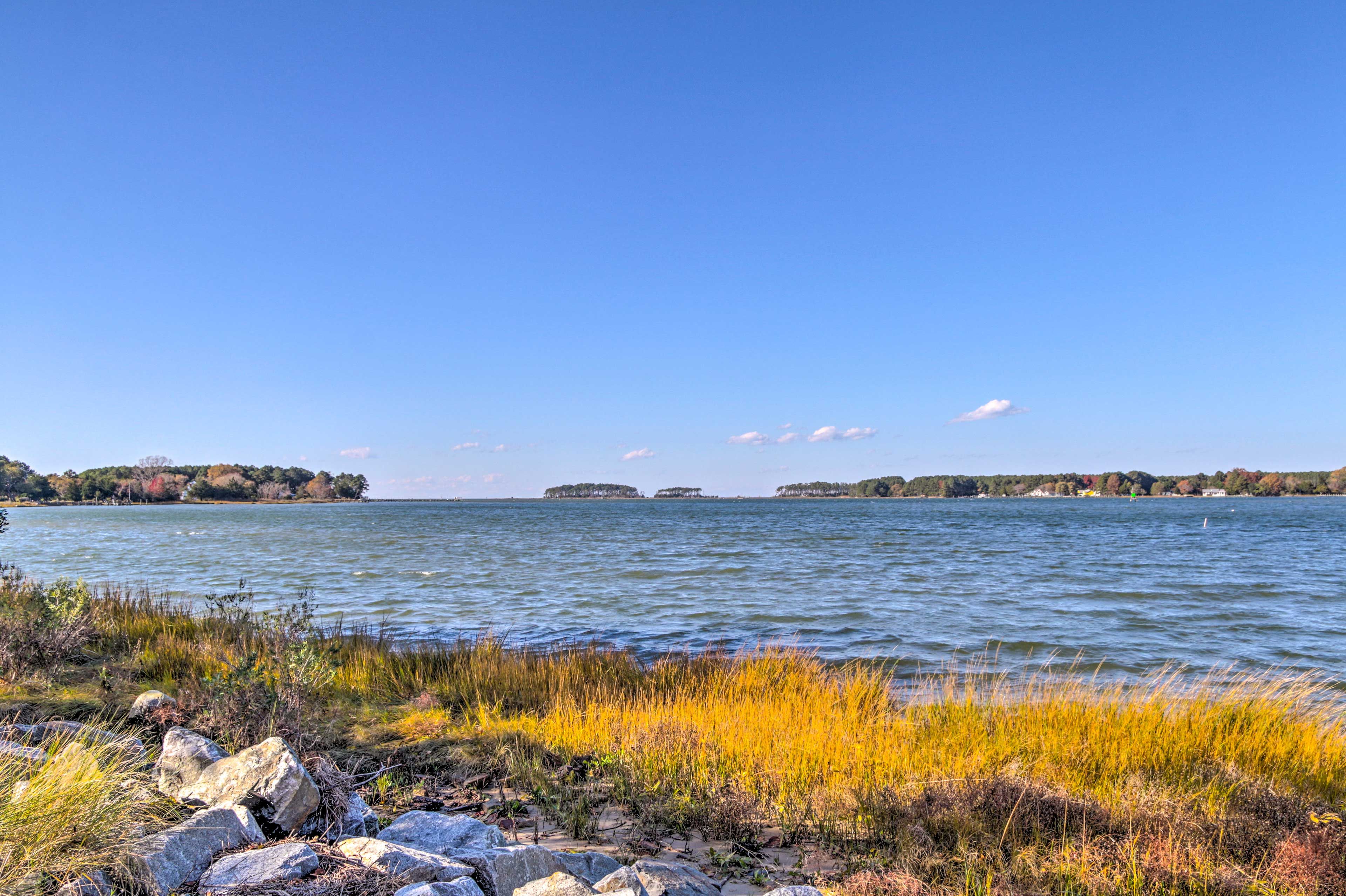 Chesapeake Bay