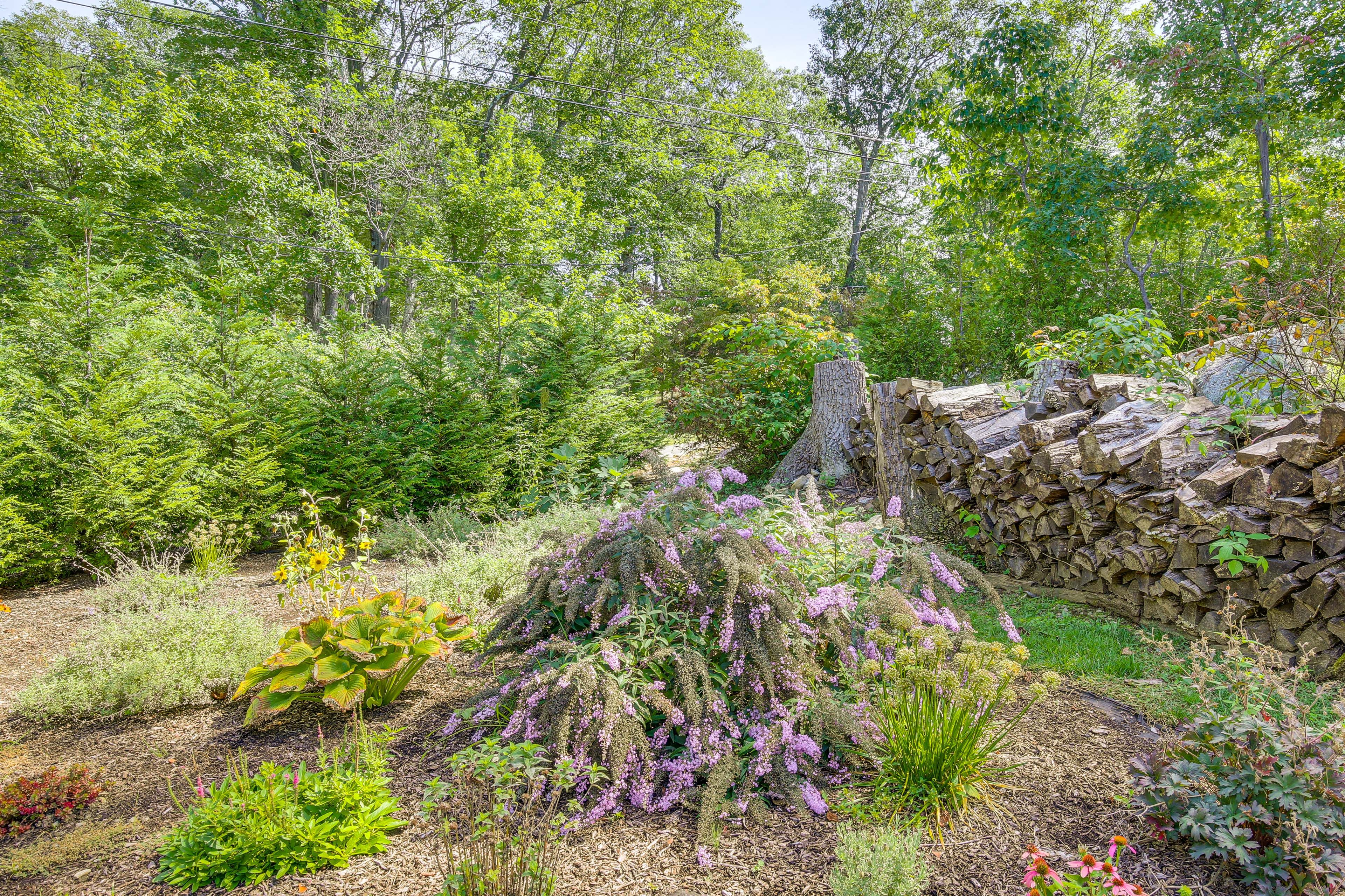 Image 35