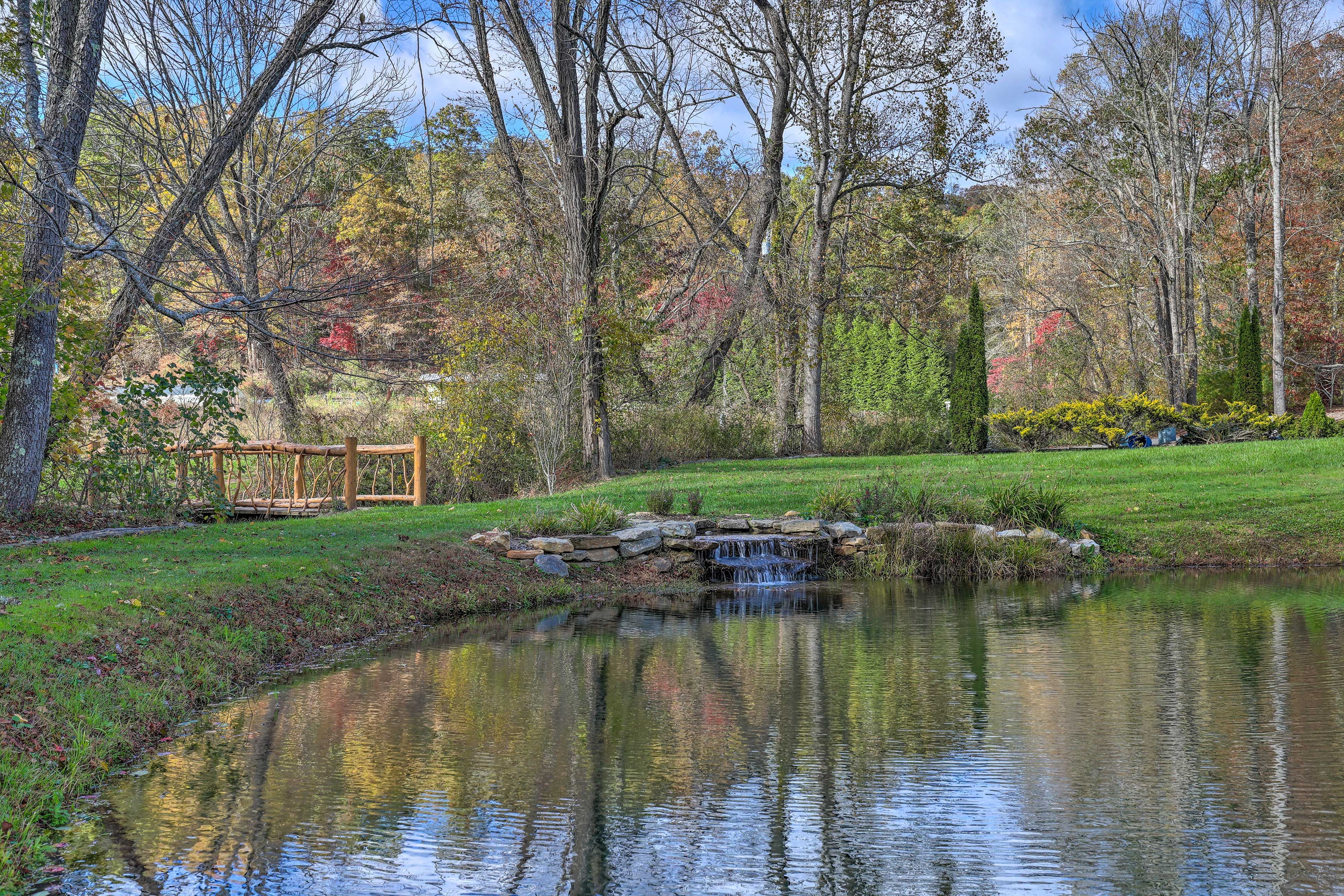 Community Pond | Picnic Table
