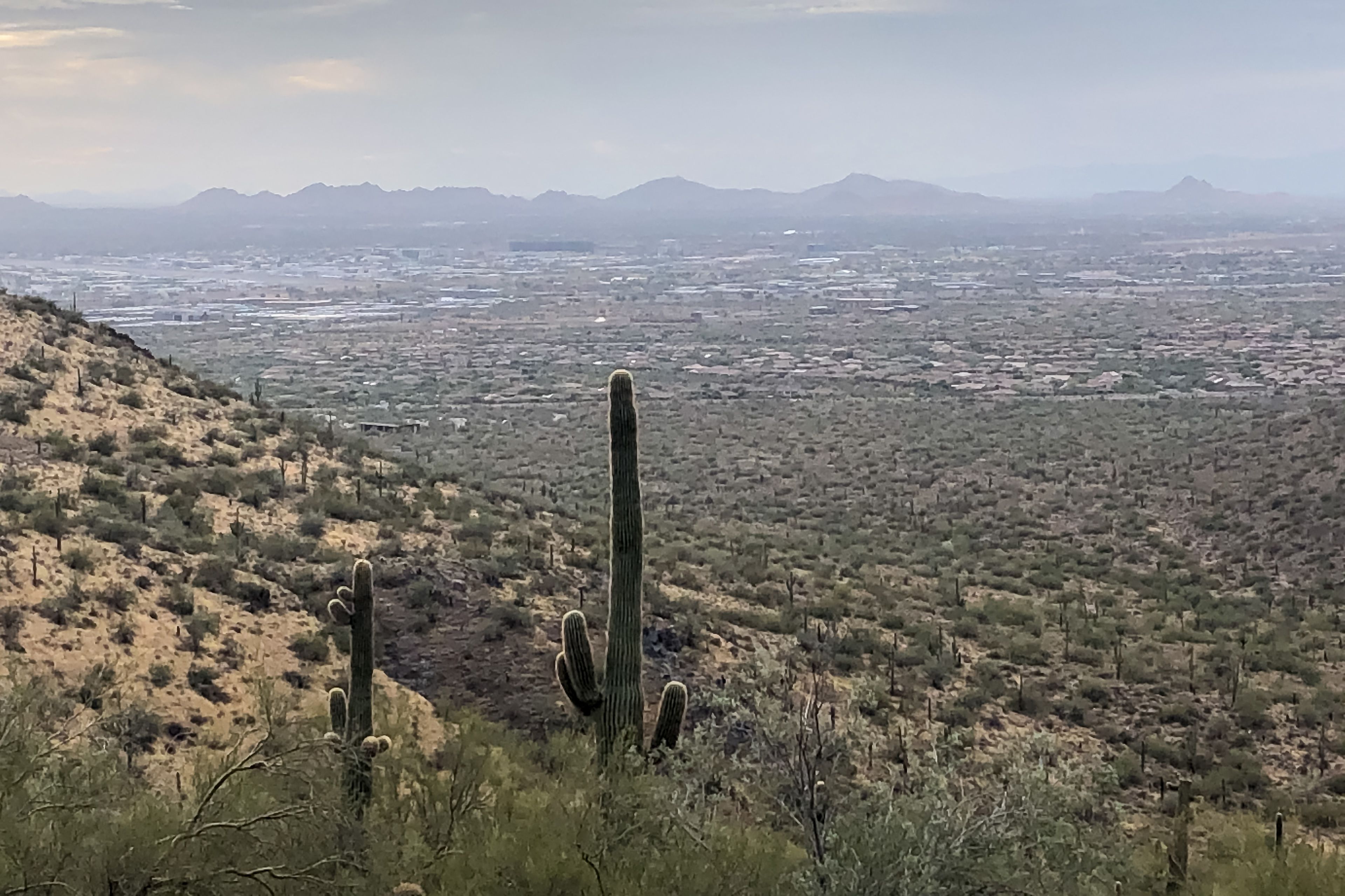 Villages North Community Views