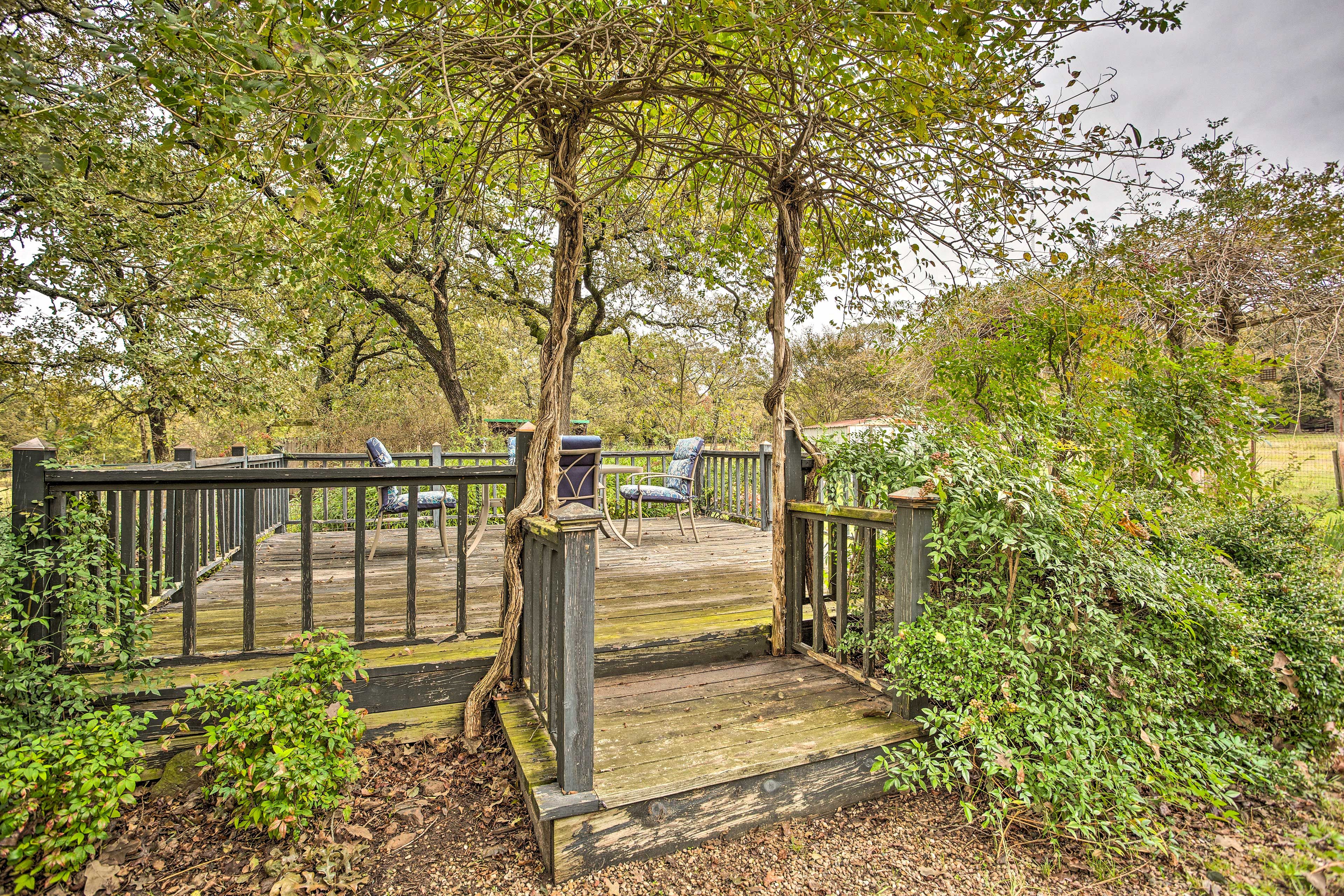 Outdoor Space