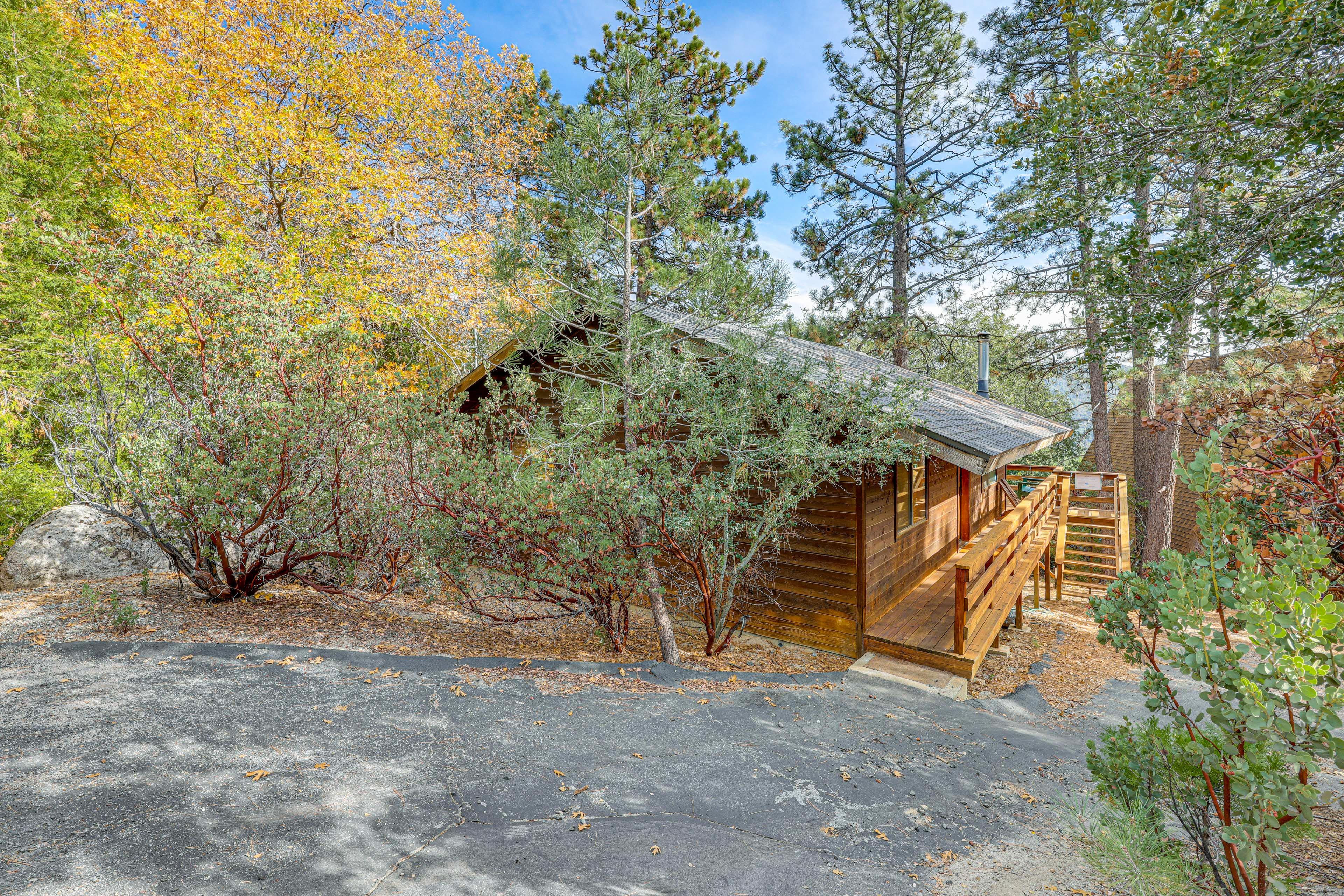 Parking | Driveway (2 Vehicles Maximum)