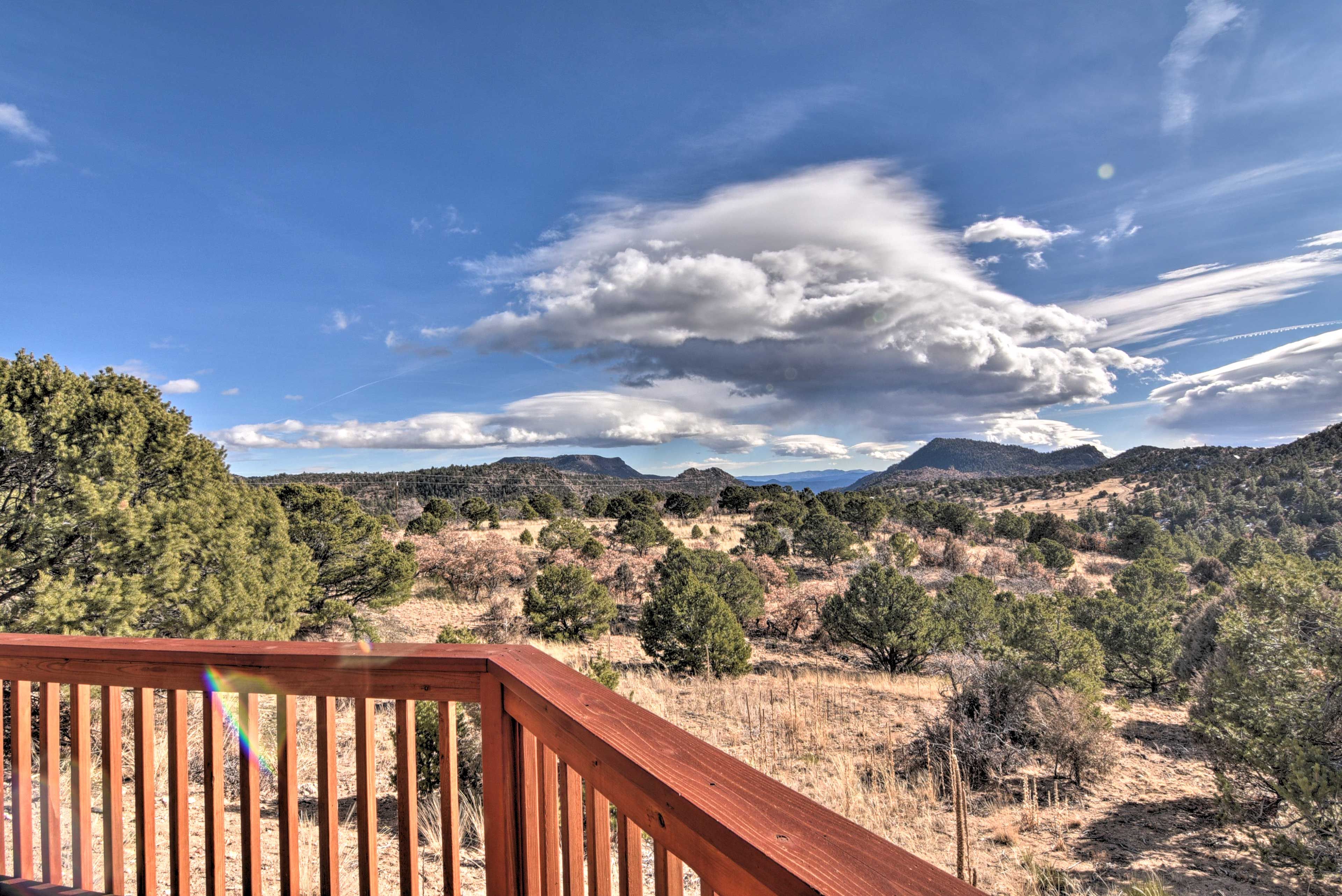 Property Views
