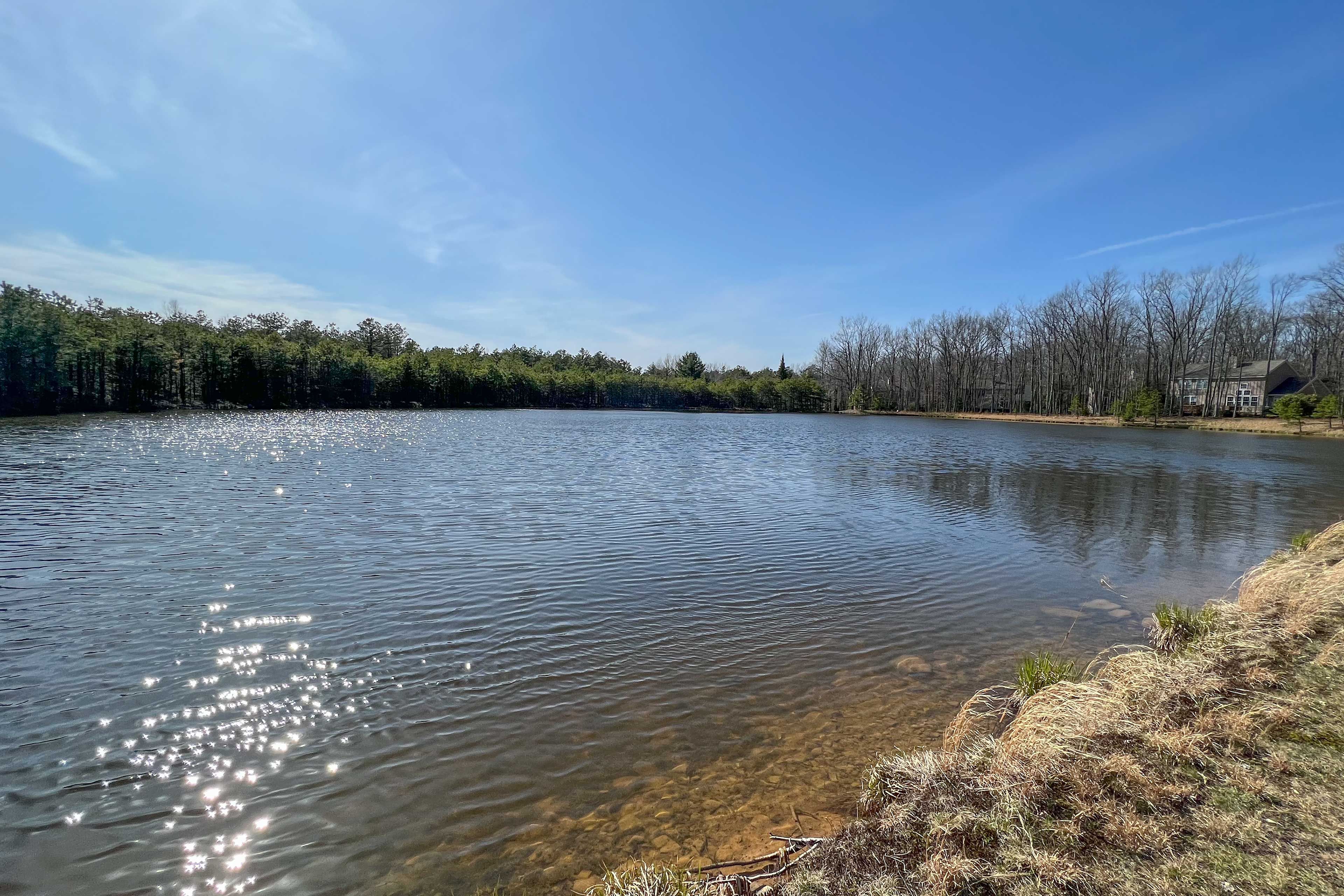 Community Amenities