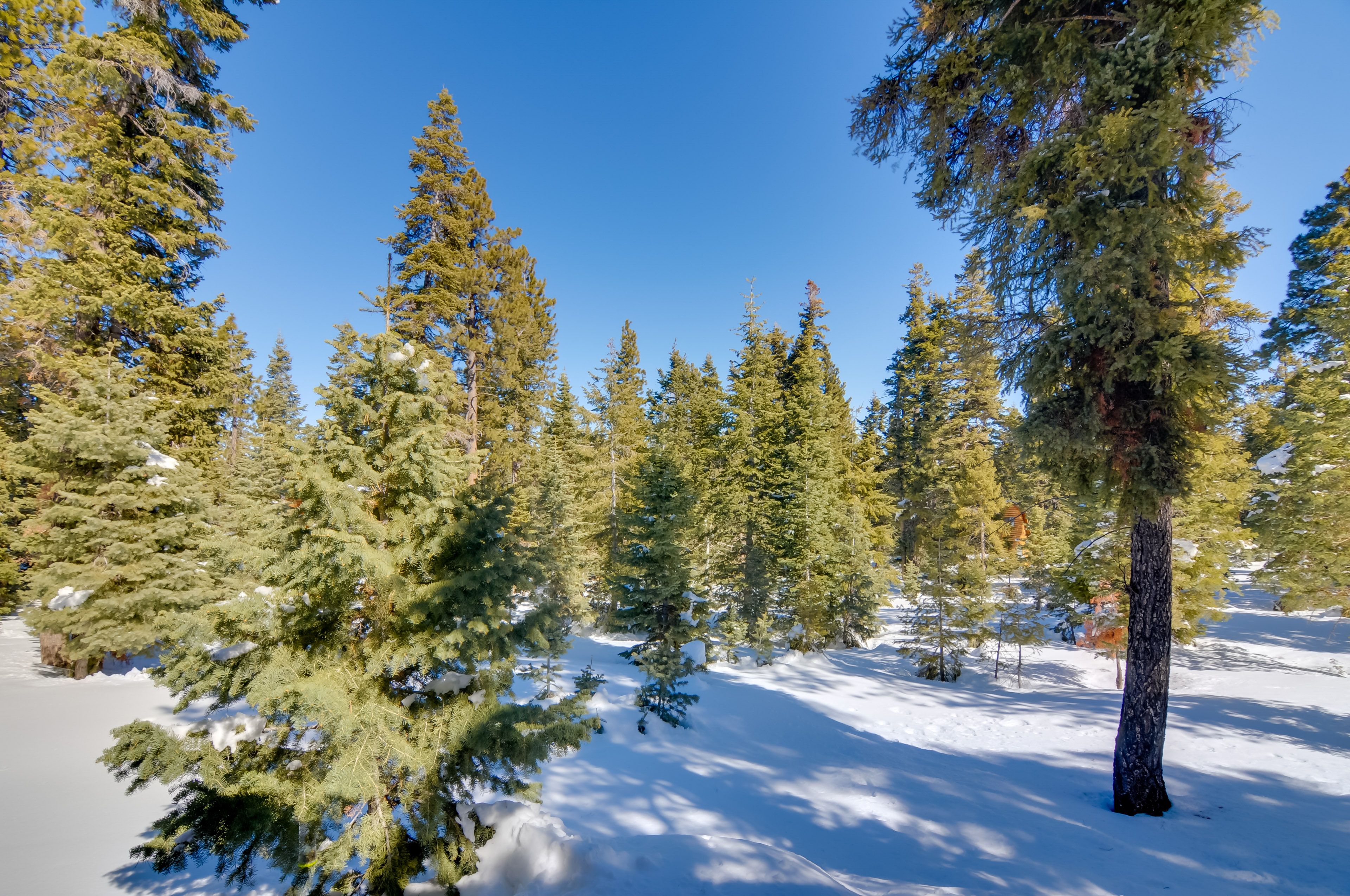 Property Views
