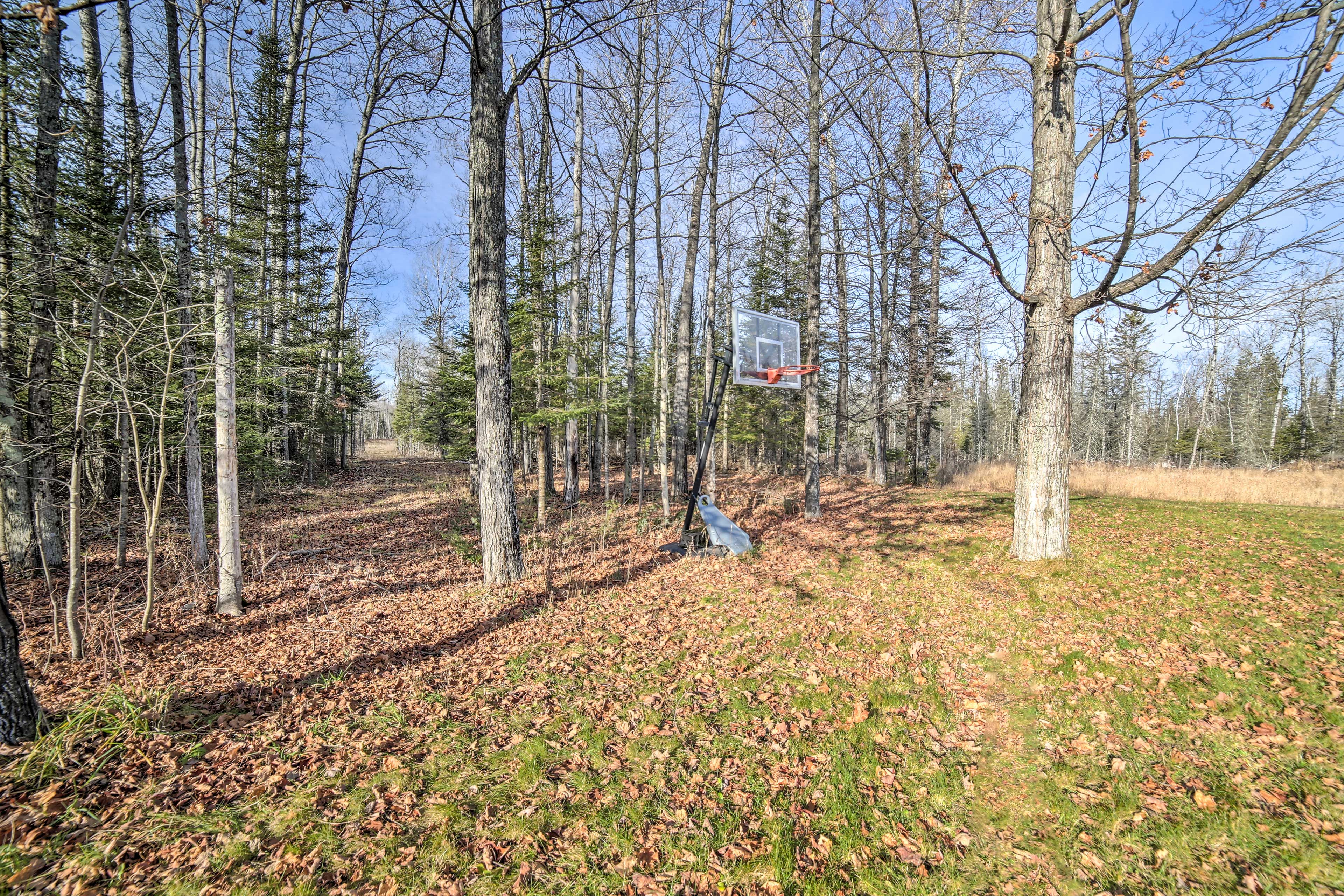 Private Yard | Basketball Hoop