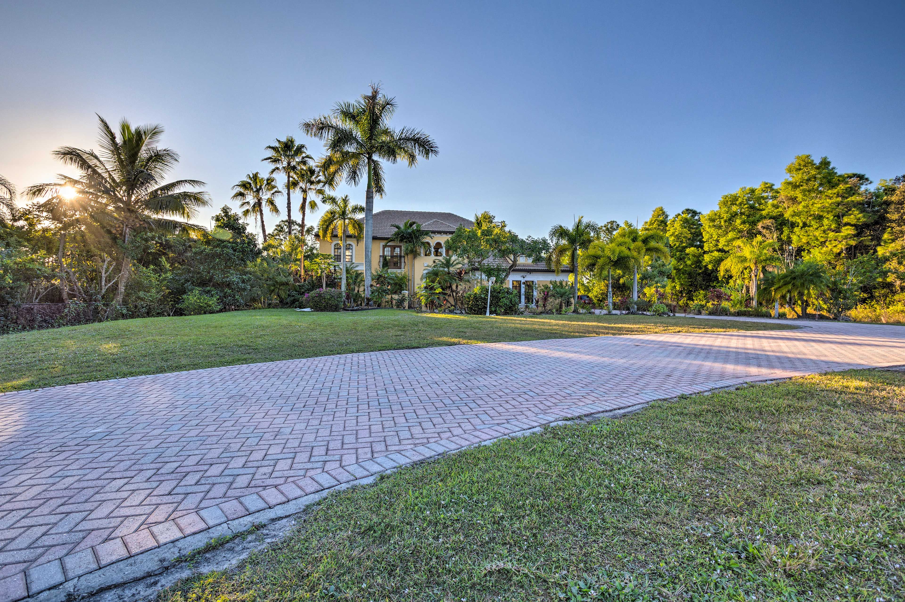 Parking | Driveway (8 Vehicles)