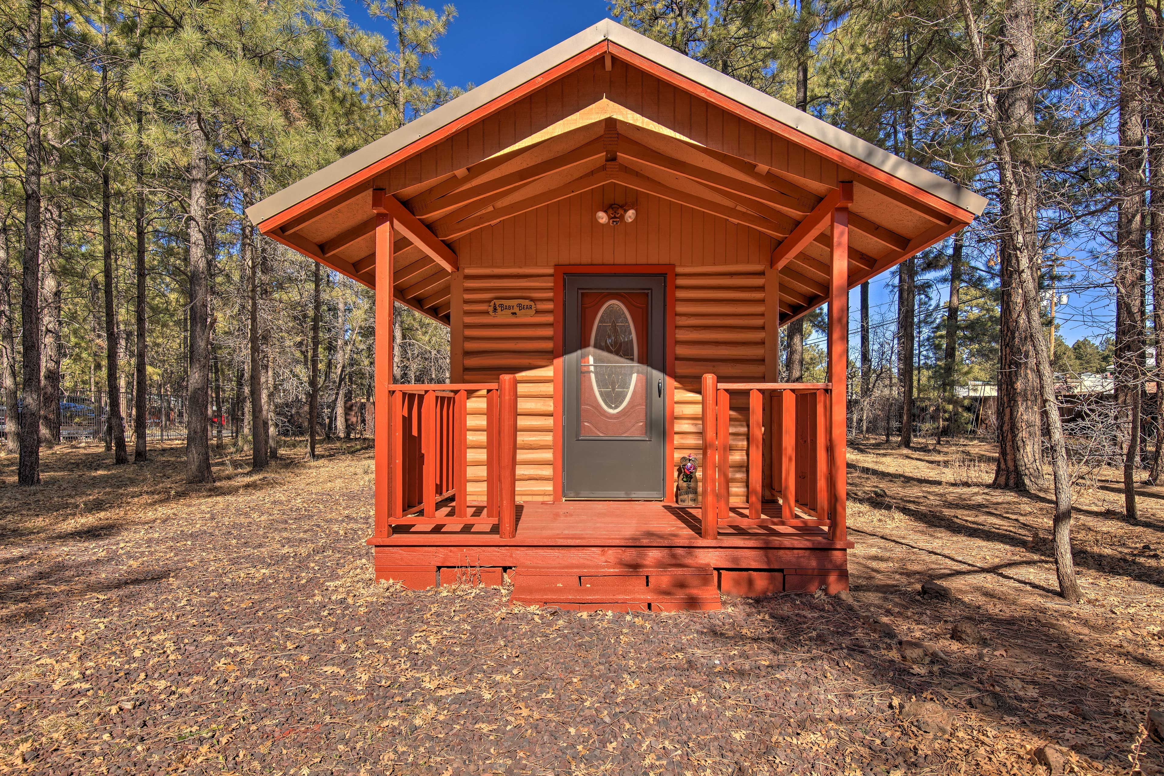 Bunkhouse (Baby Bear)