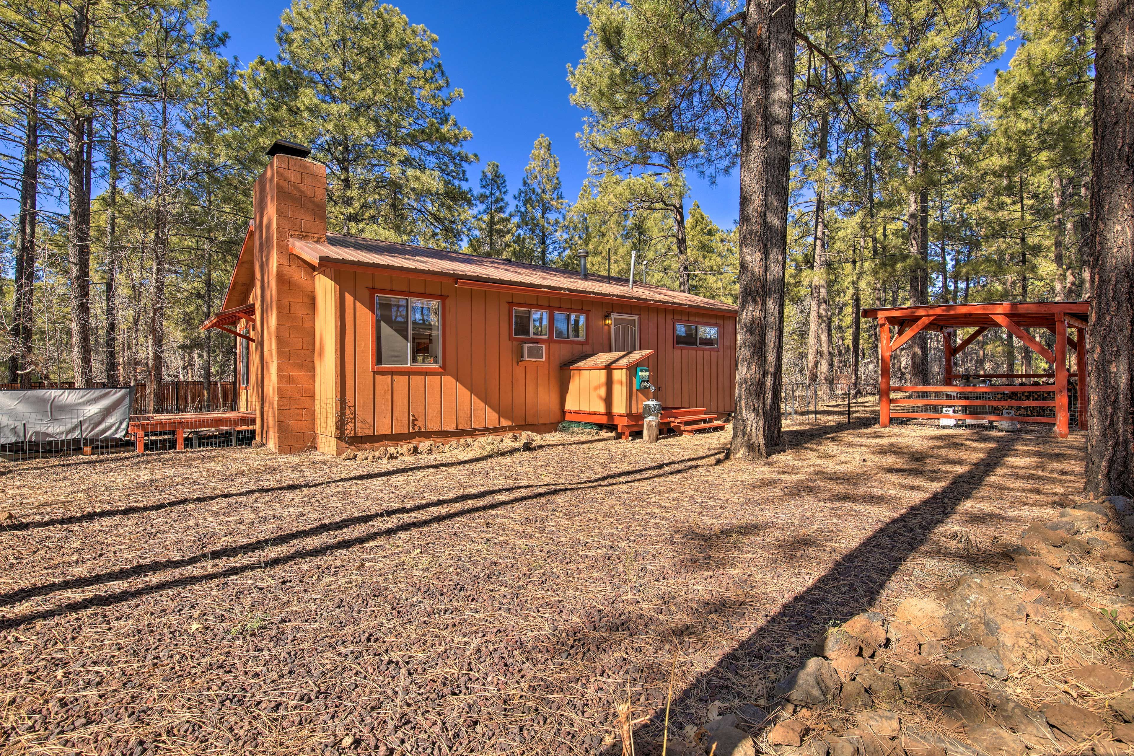 Guest House Exterior (Mama Bear)