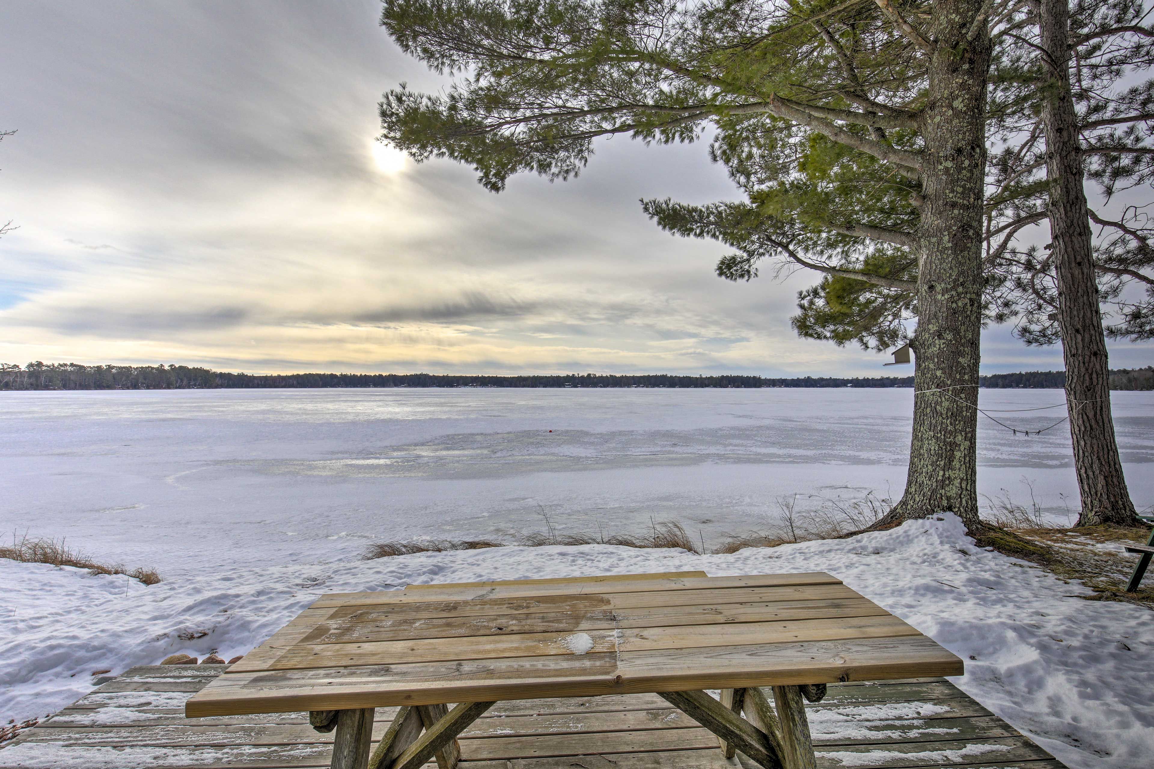 Lakefront Property | Picnic Table