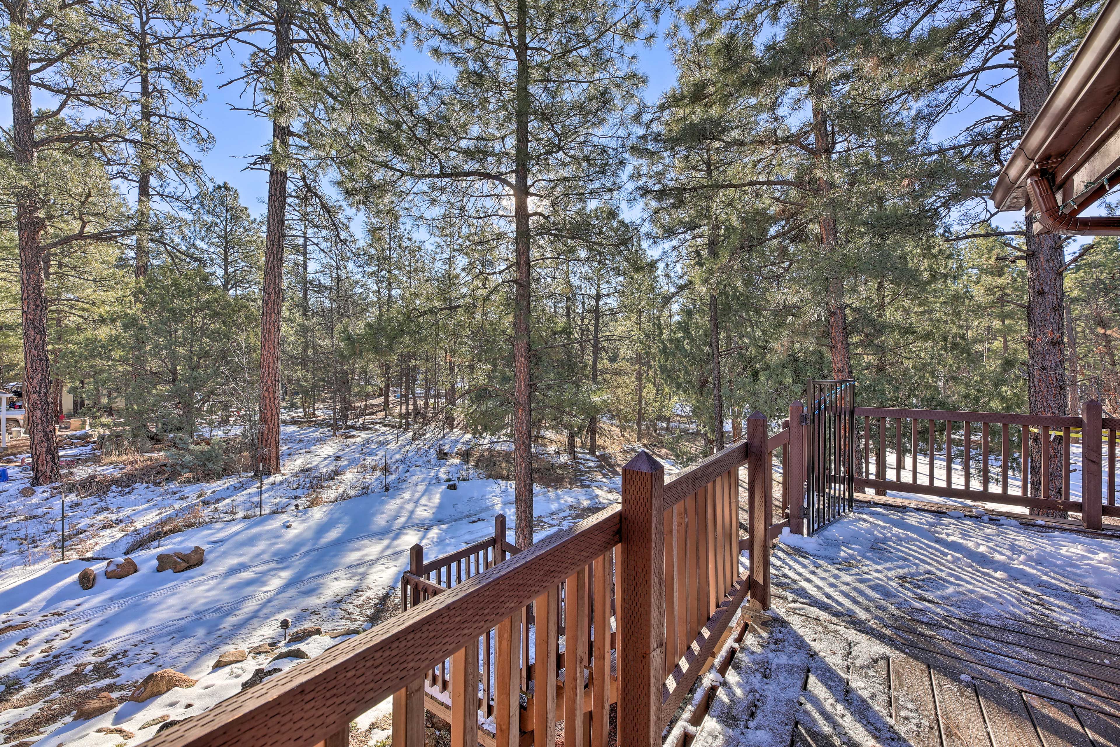 Yard & Back Deck
