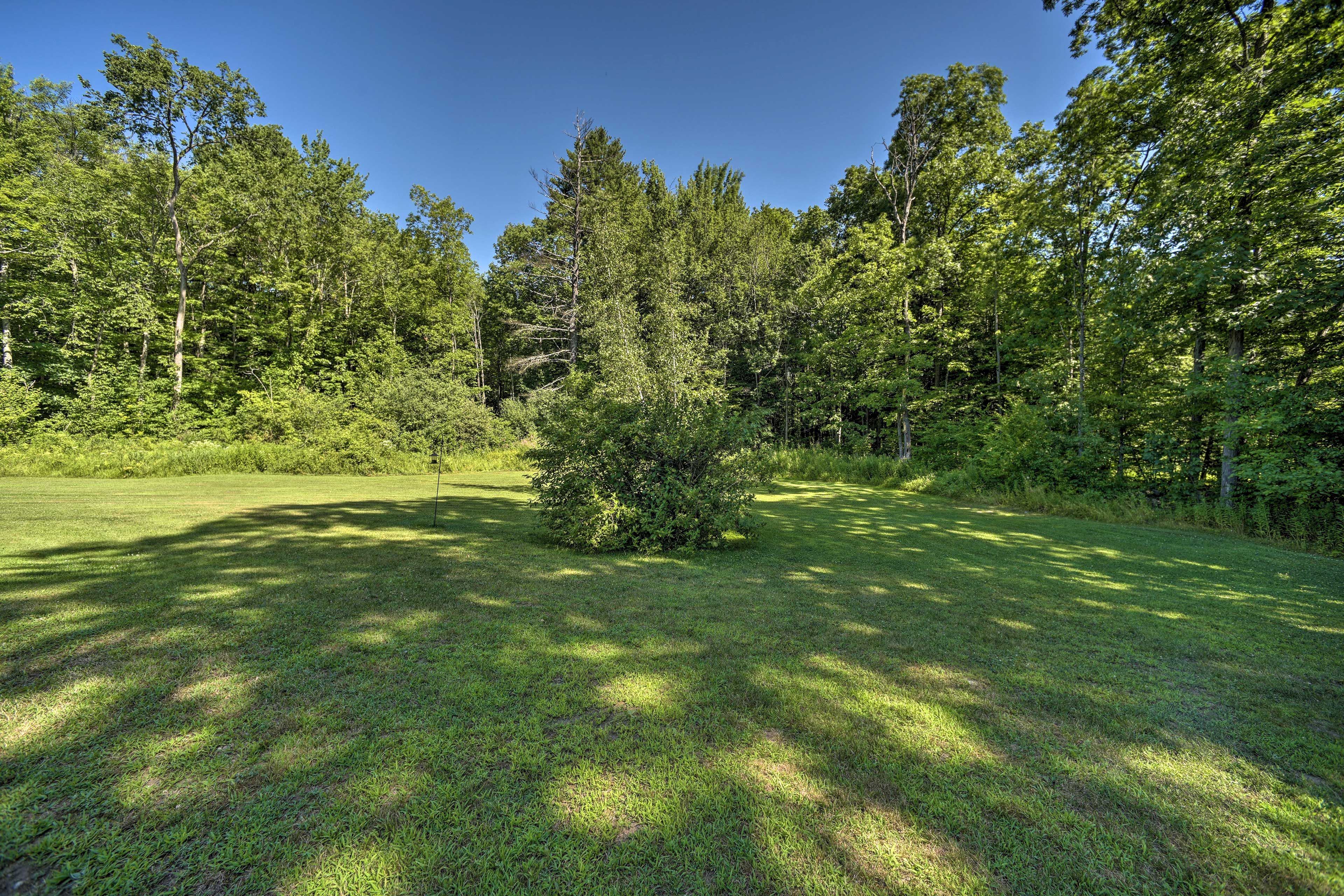 Spacious Yard
