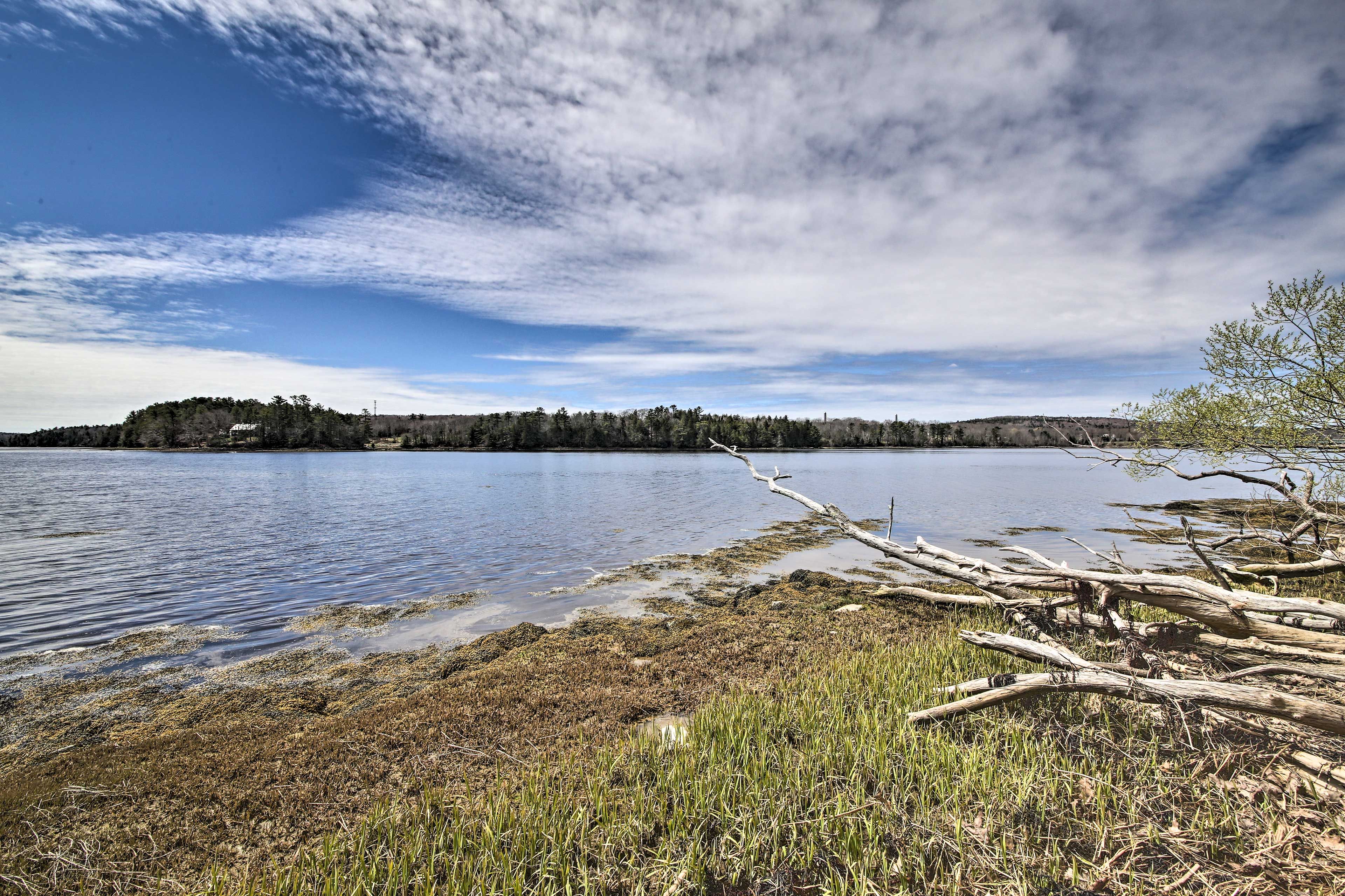Penobscot River | Steps Away | Not Suitable for Kayaking/Canoeing