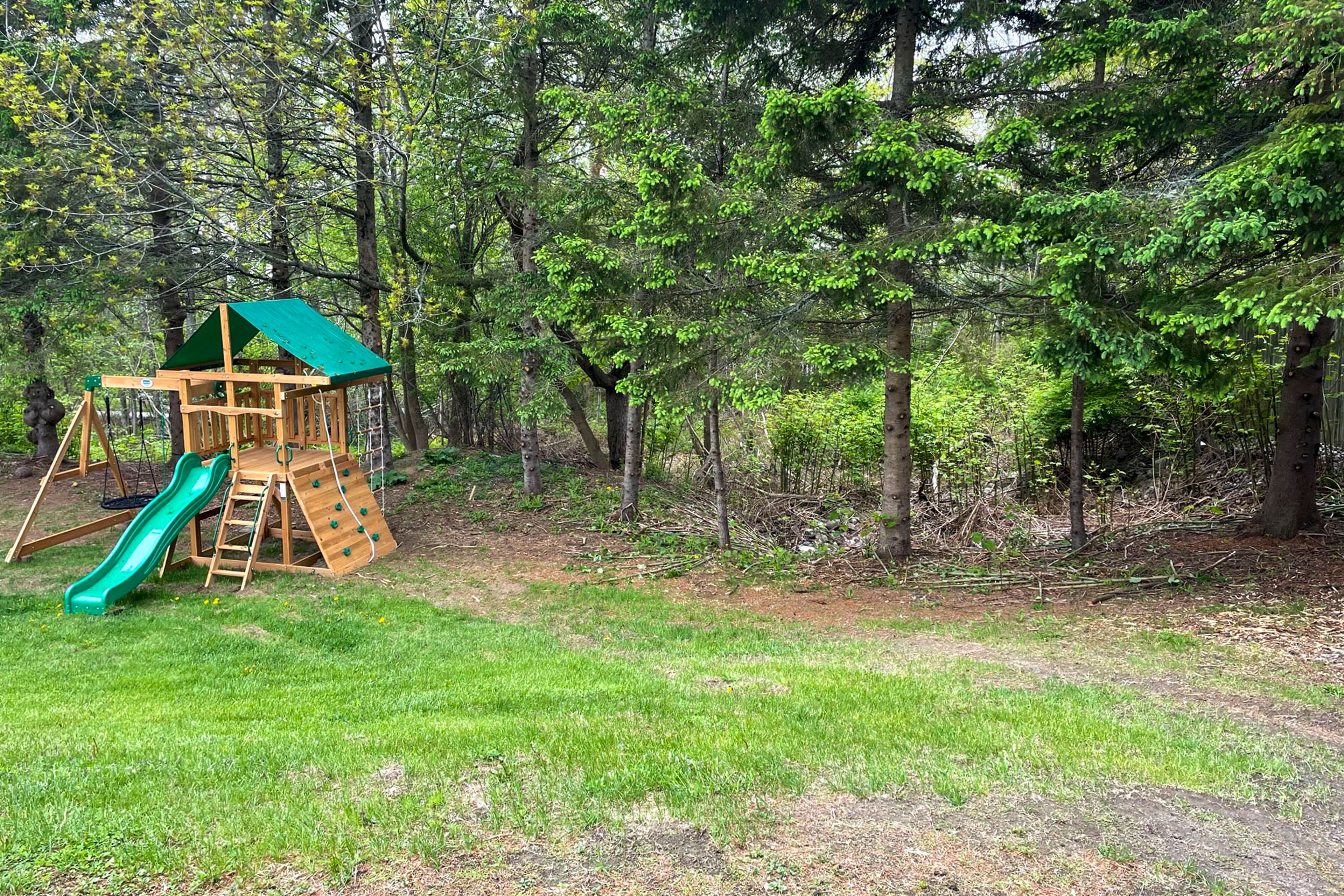 Wooded Backyard