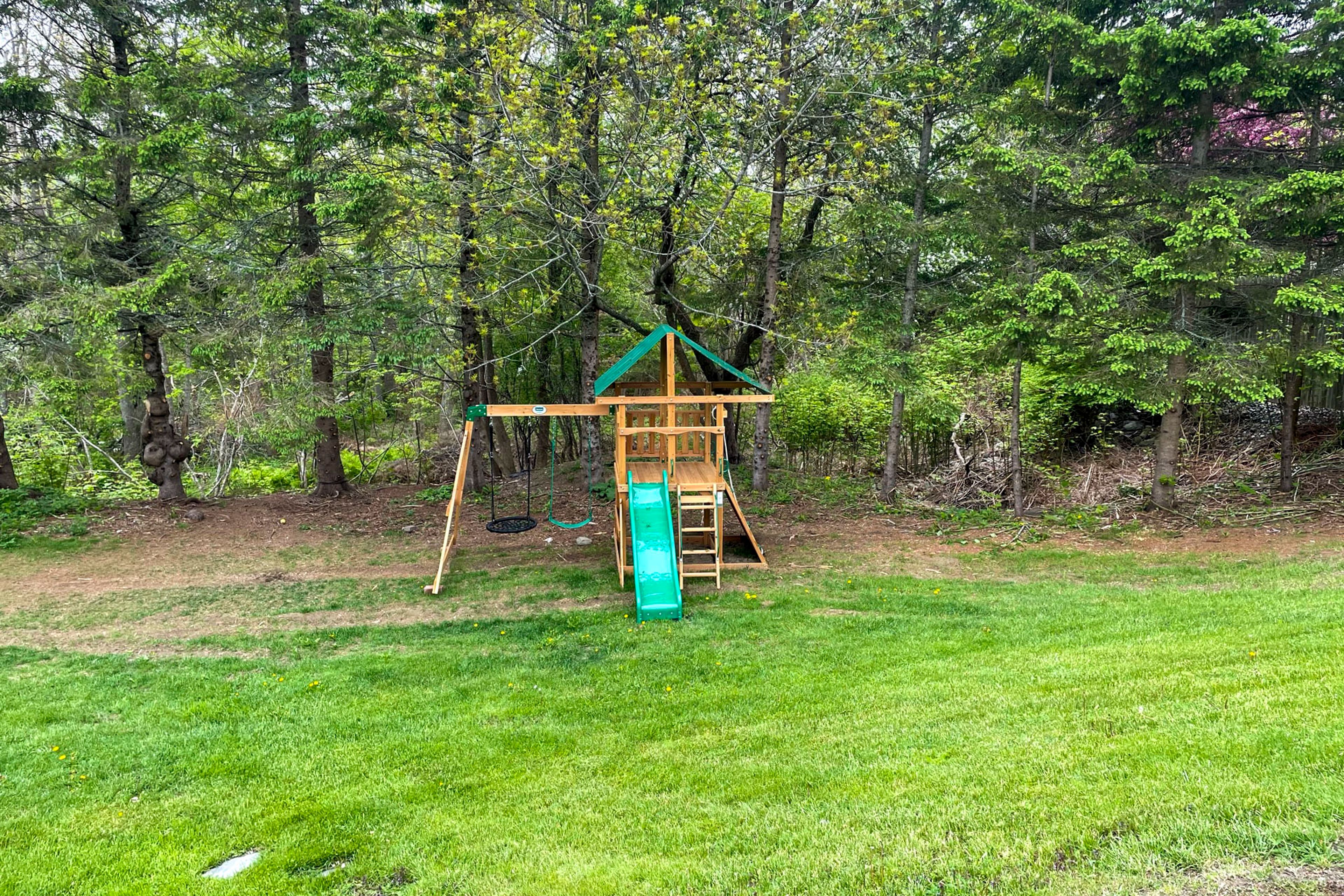 Wooded Backyard
