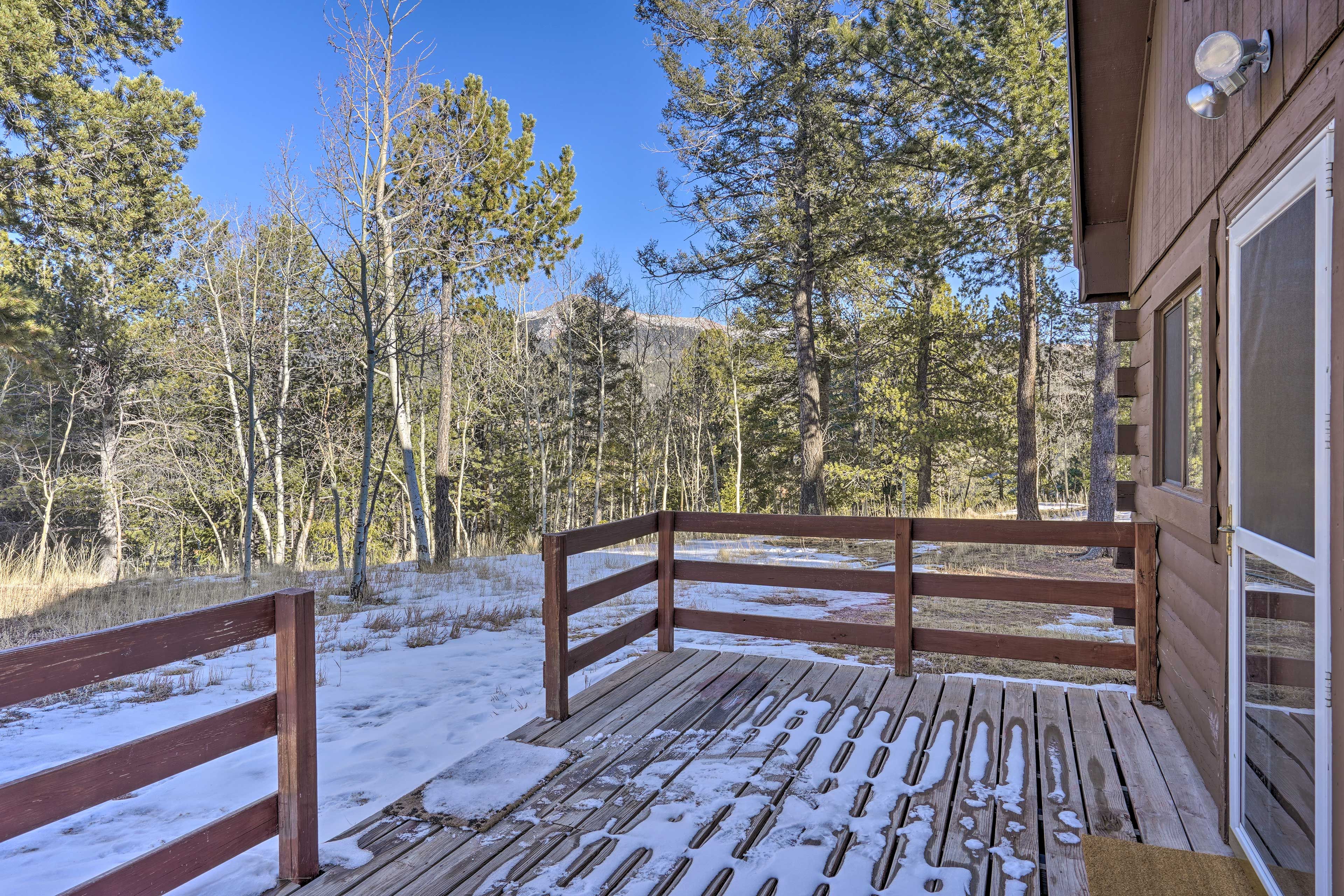 Back Porch | Gas Grill