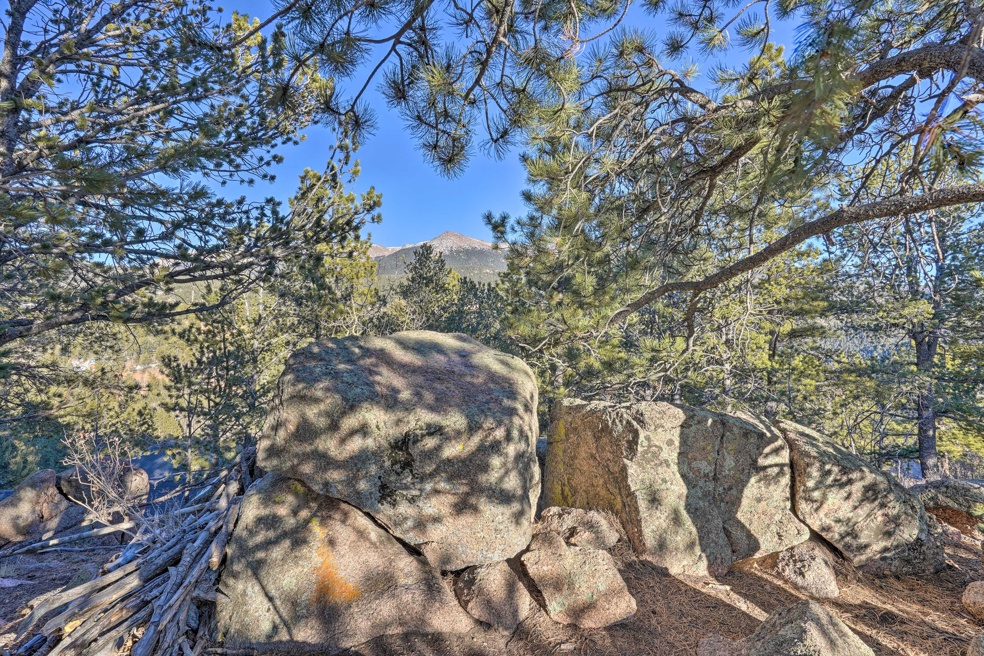 Surrounding Area | Mountain Views