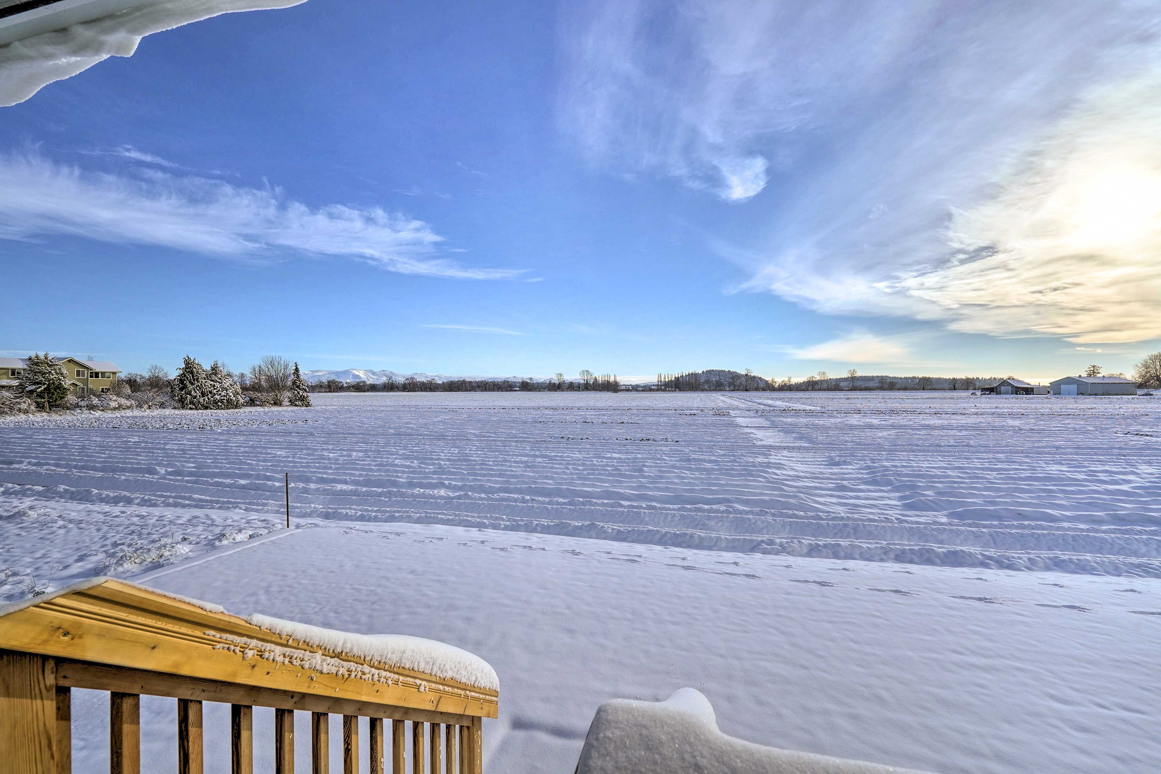Covered Deck