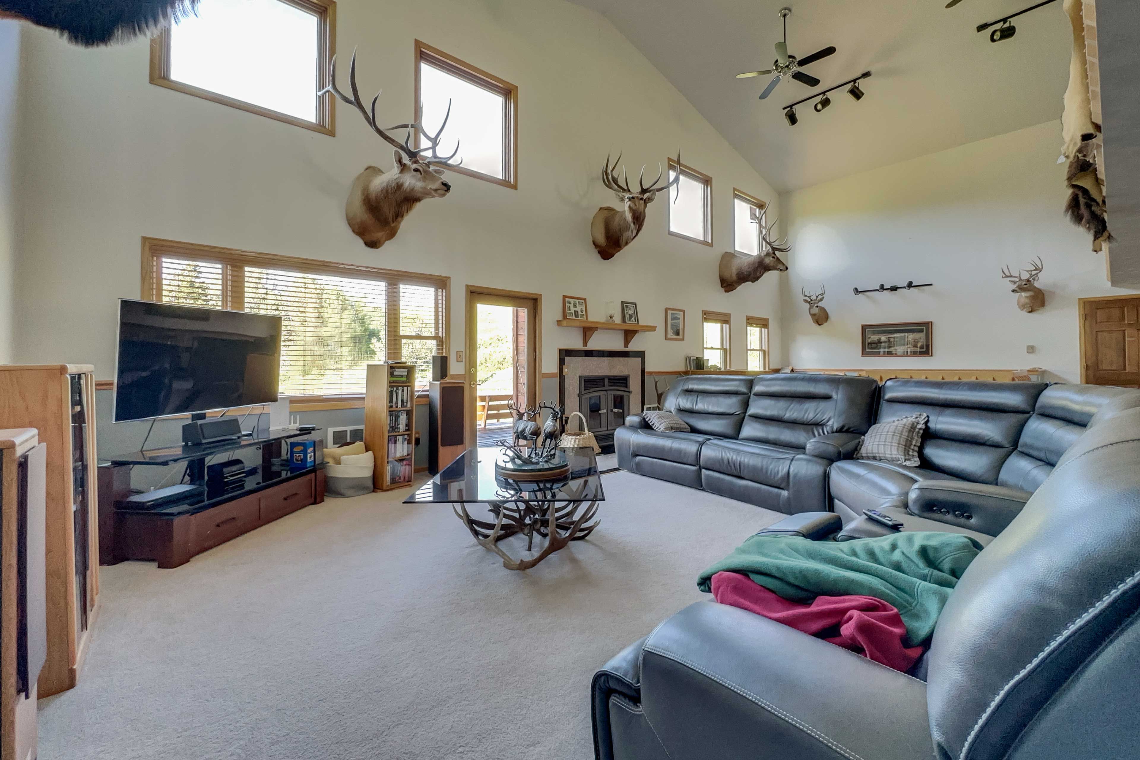 Living Room | Dogs Welcome