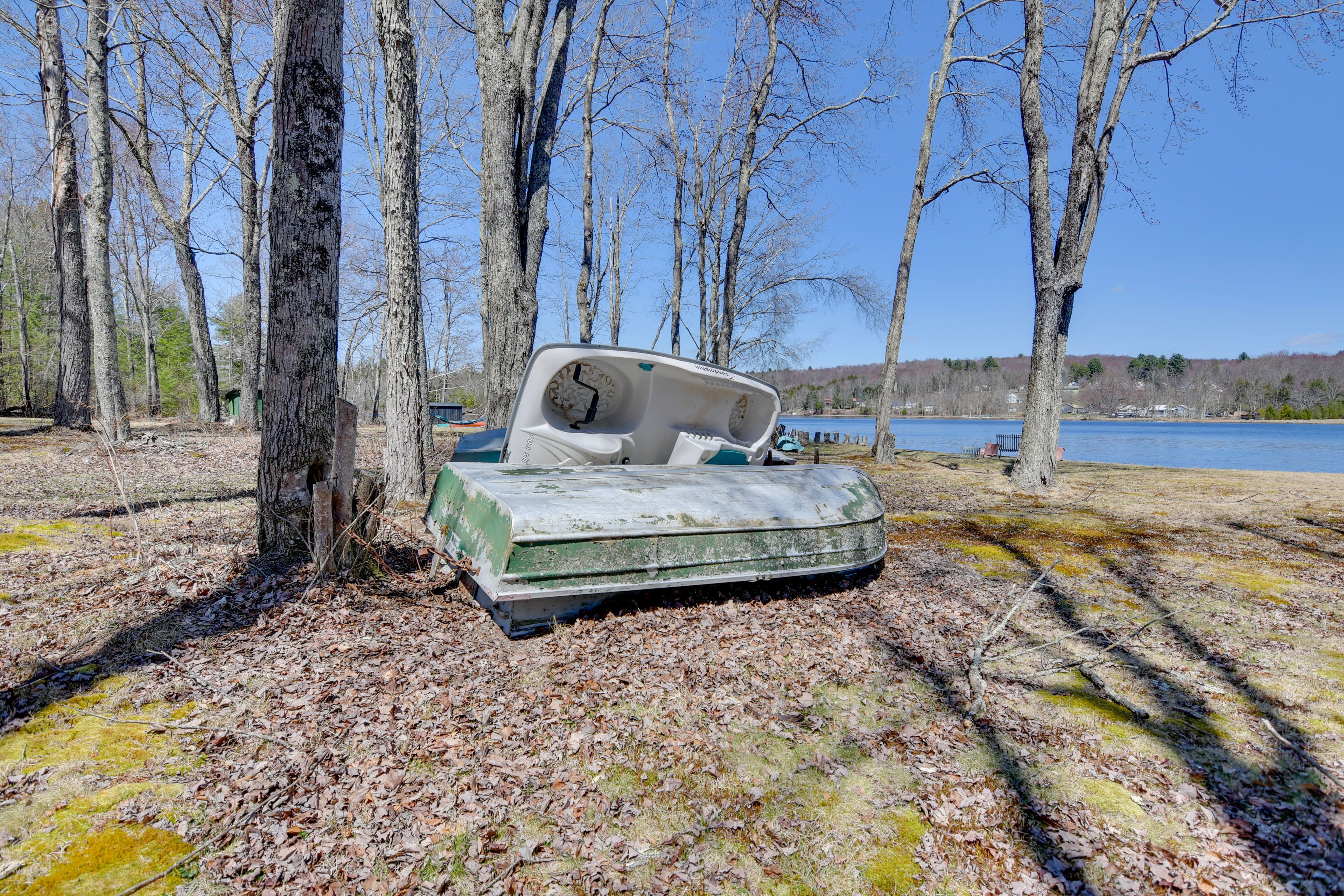 Image 19