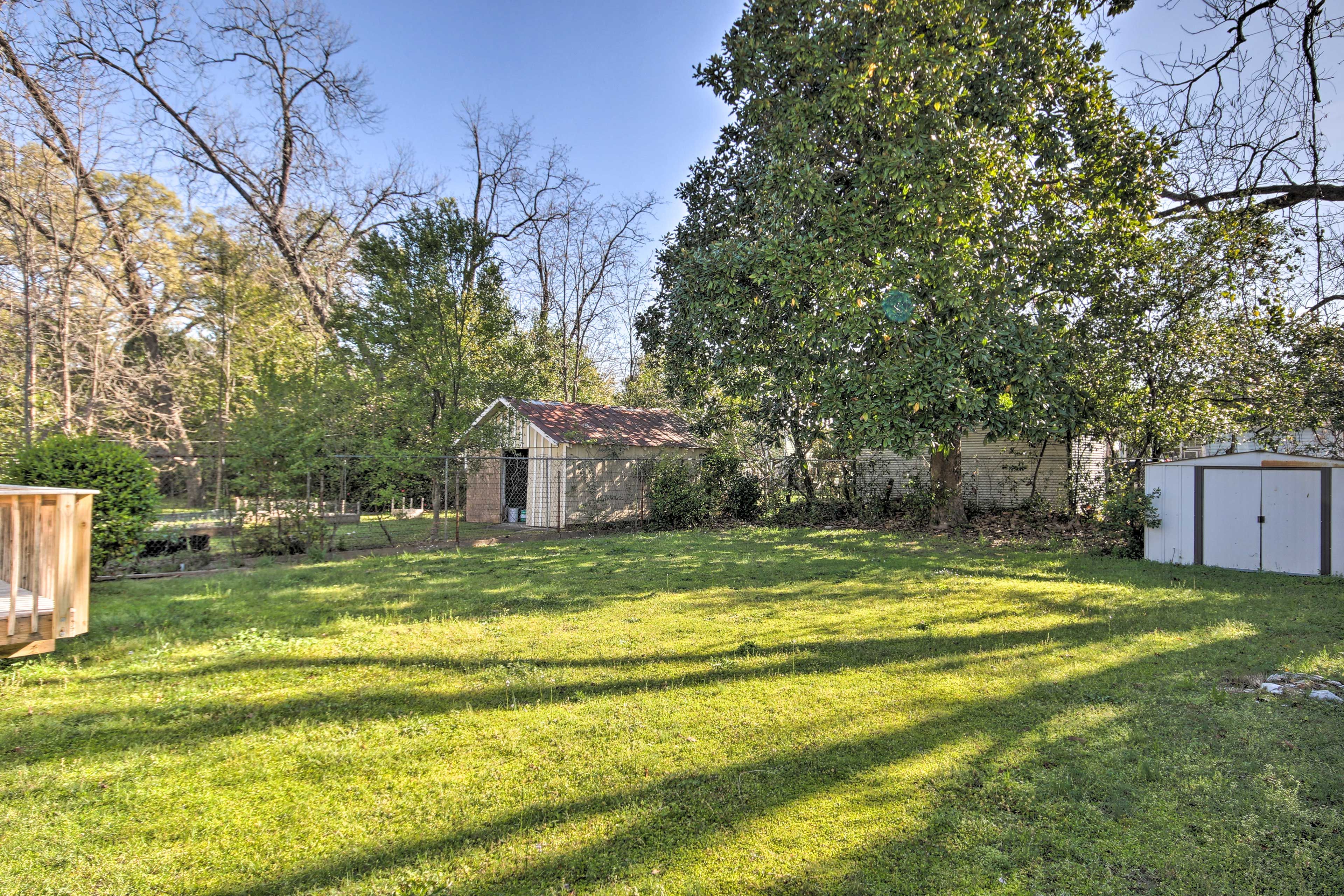 Backyard