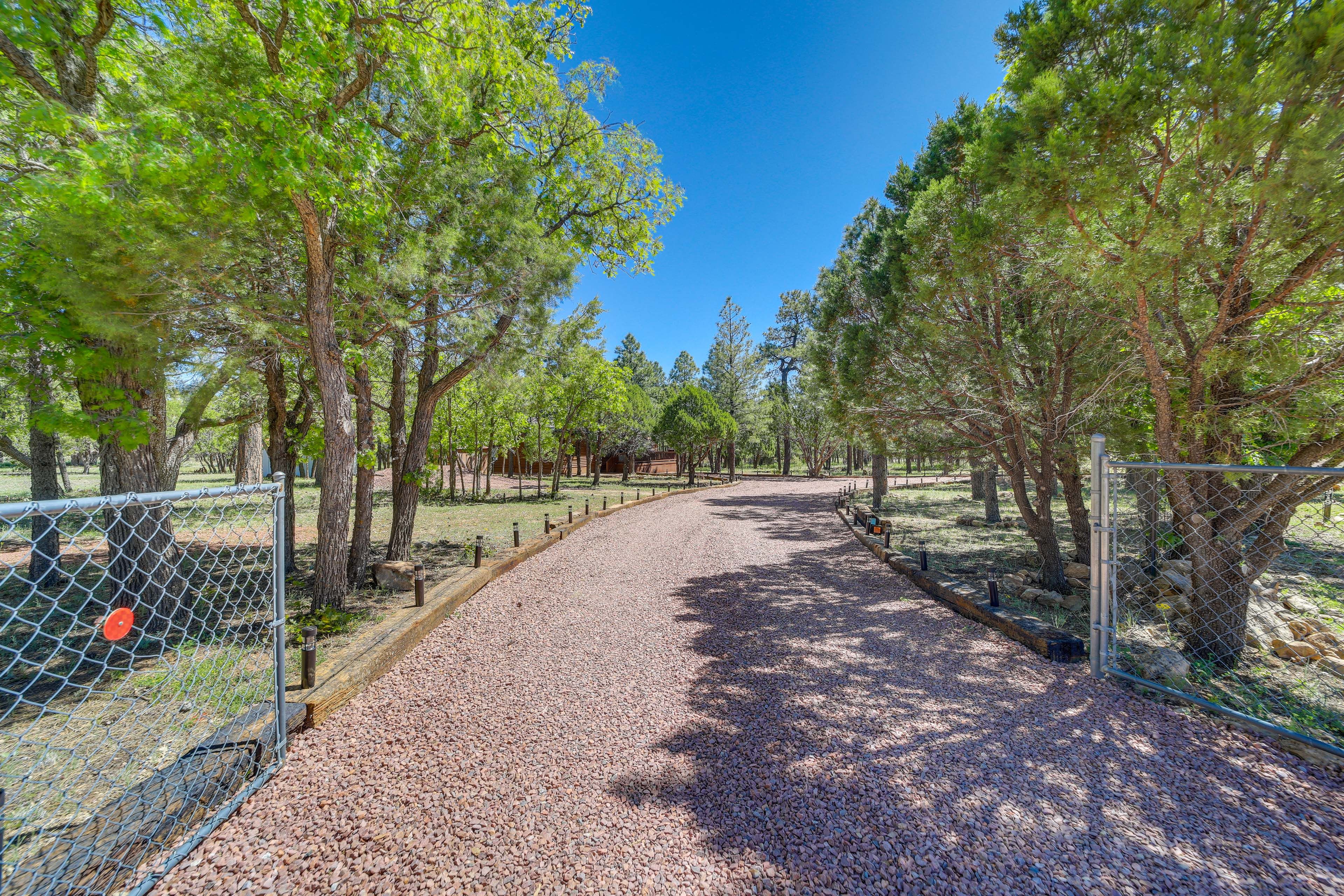Cabin Exterior | Driveway