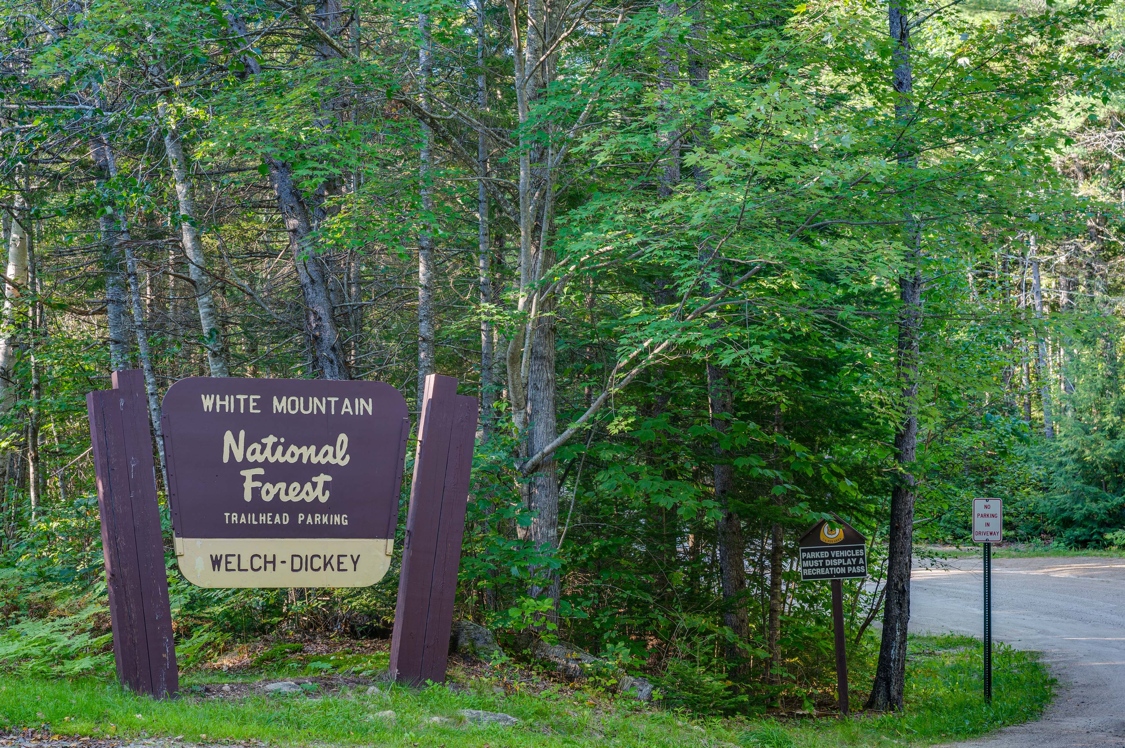 Walk to Hiking Trails