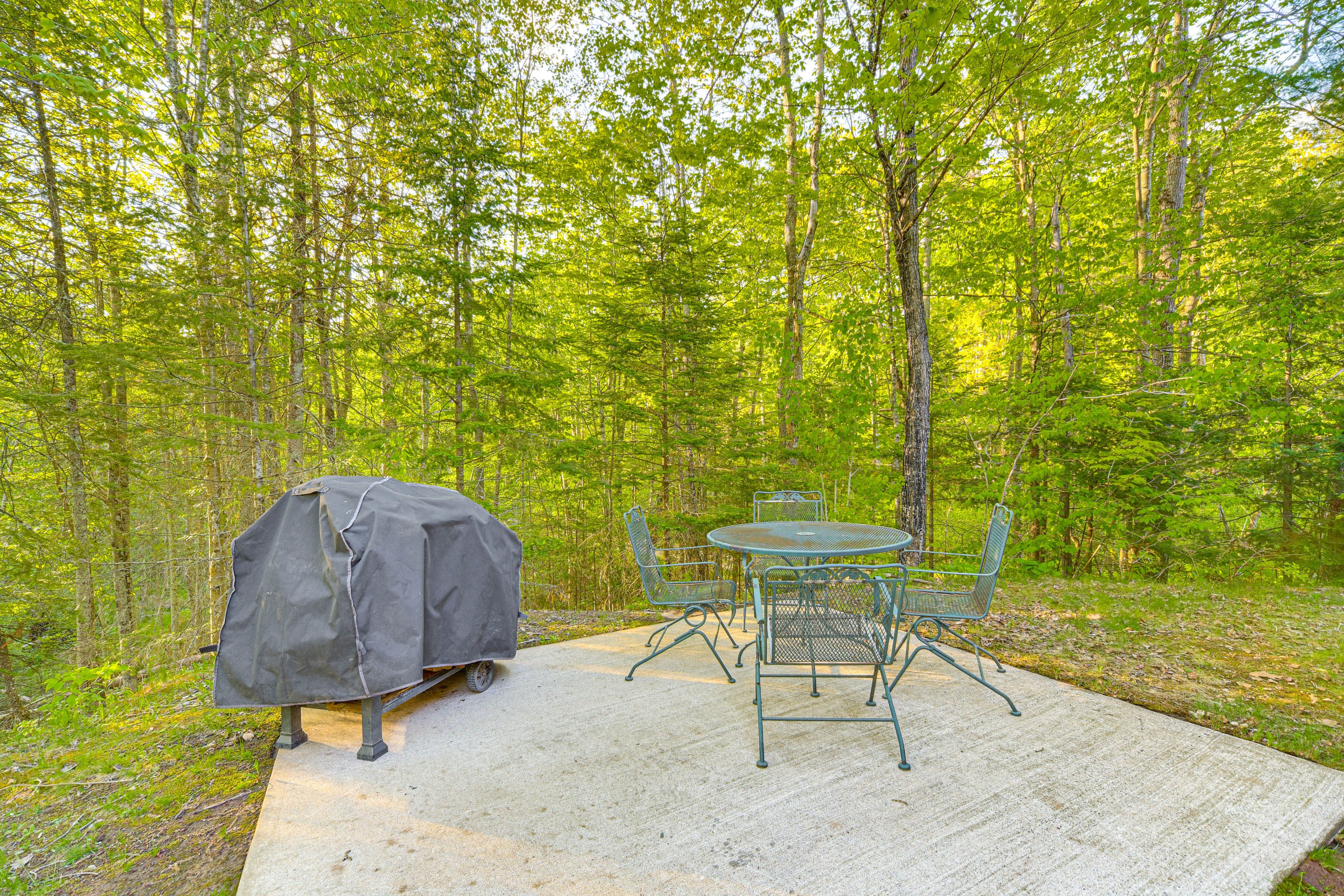 Patio | Gas Grill