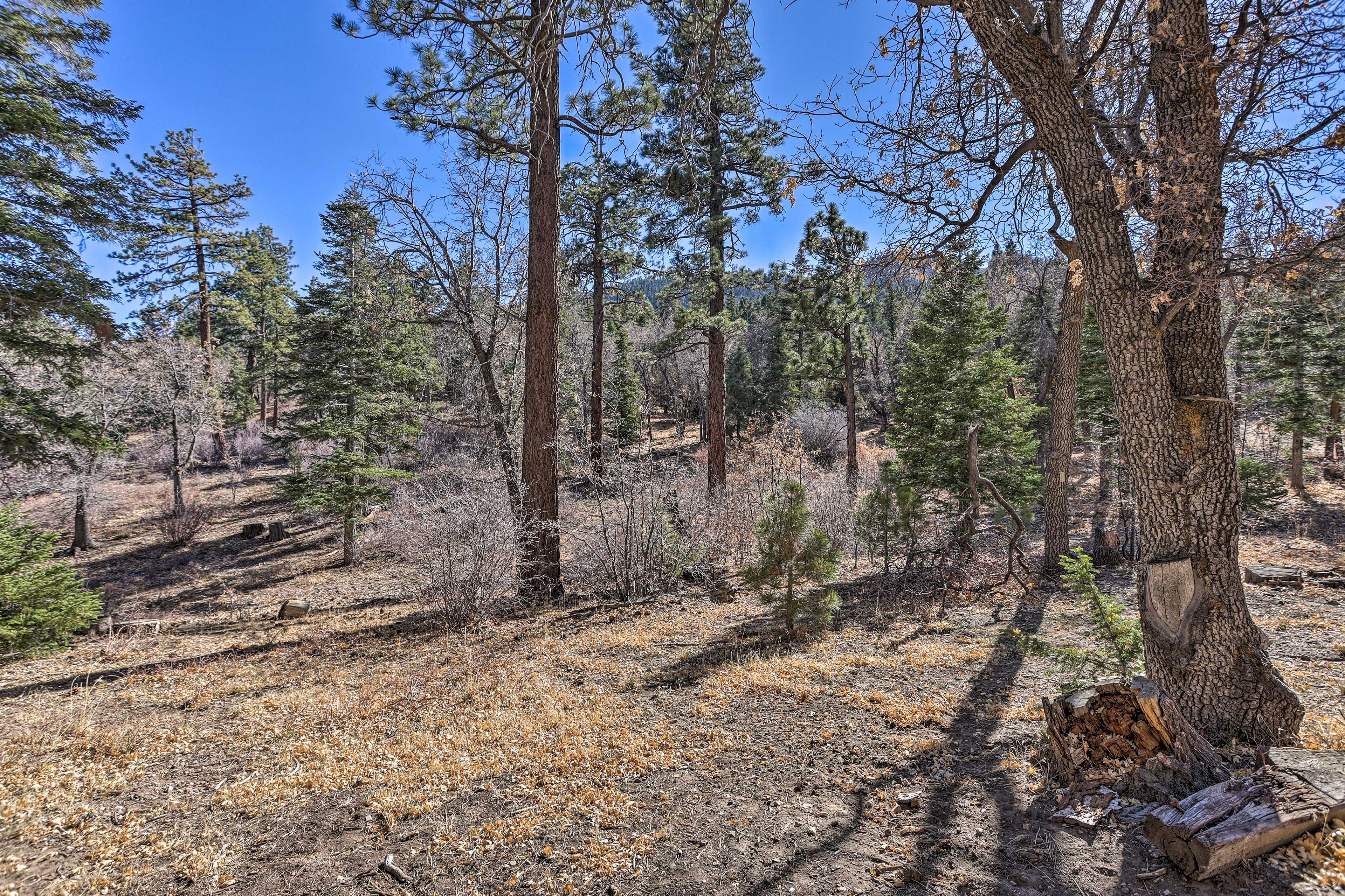 San Bernardino National Forest | On-Site Access