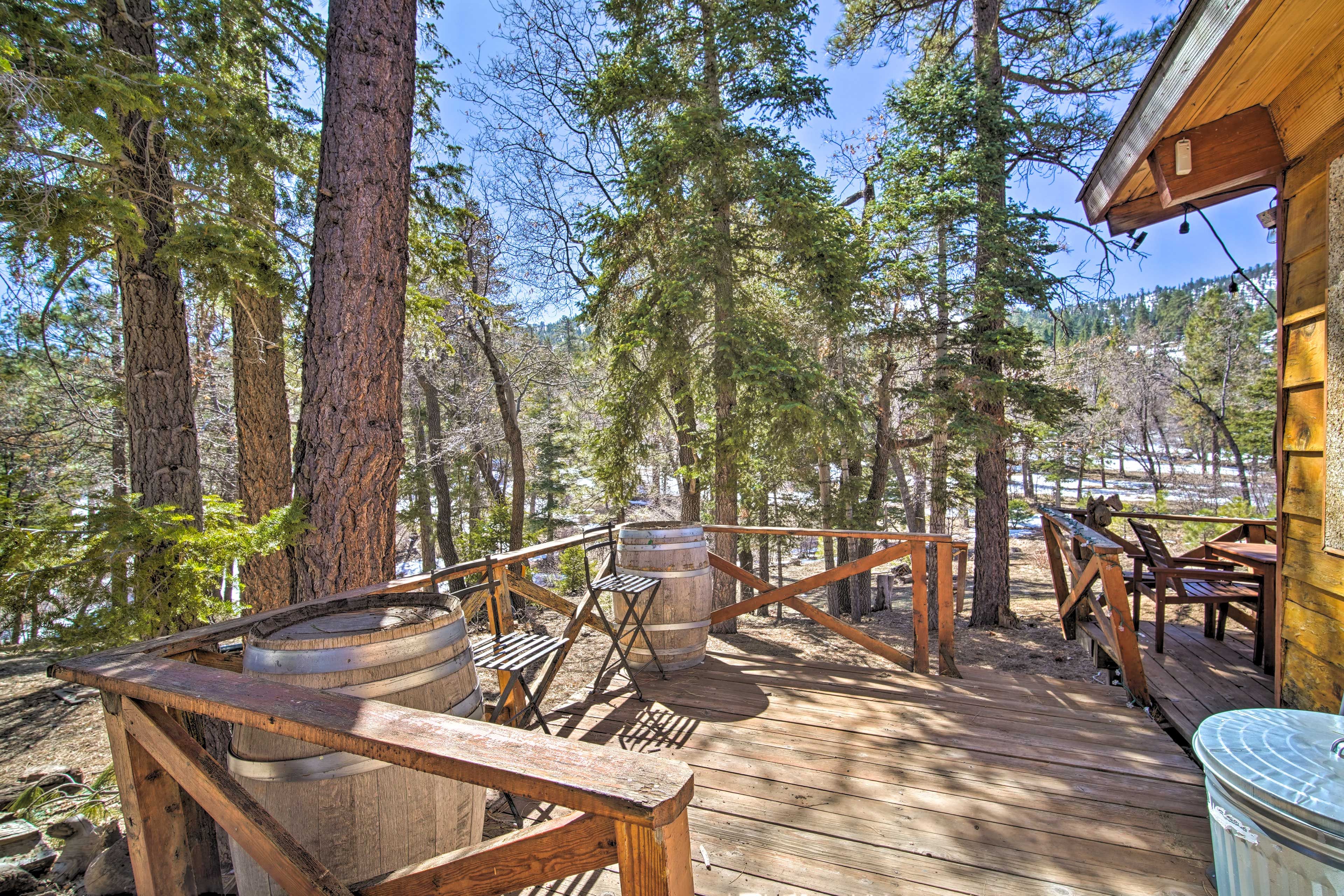 Back Deck | Direct Access to San Bernardino National Forest