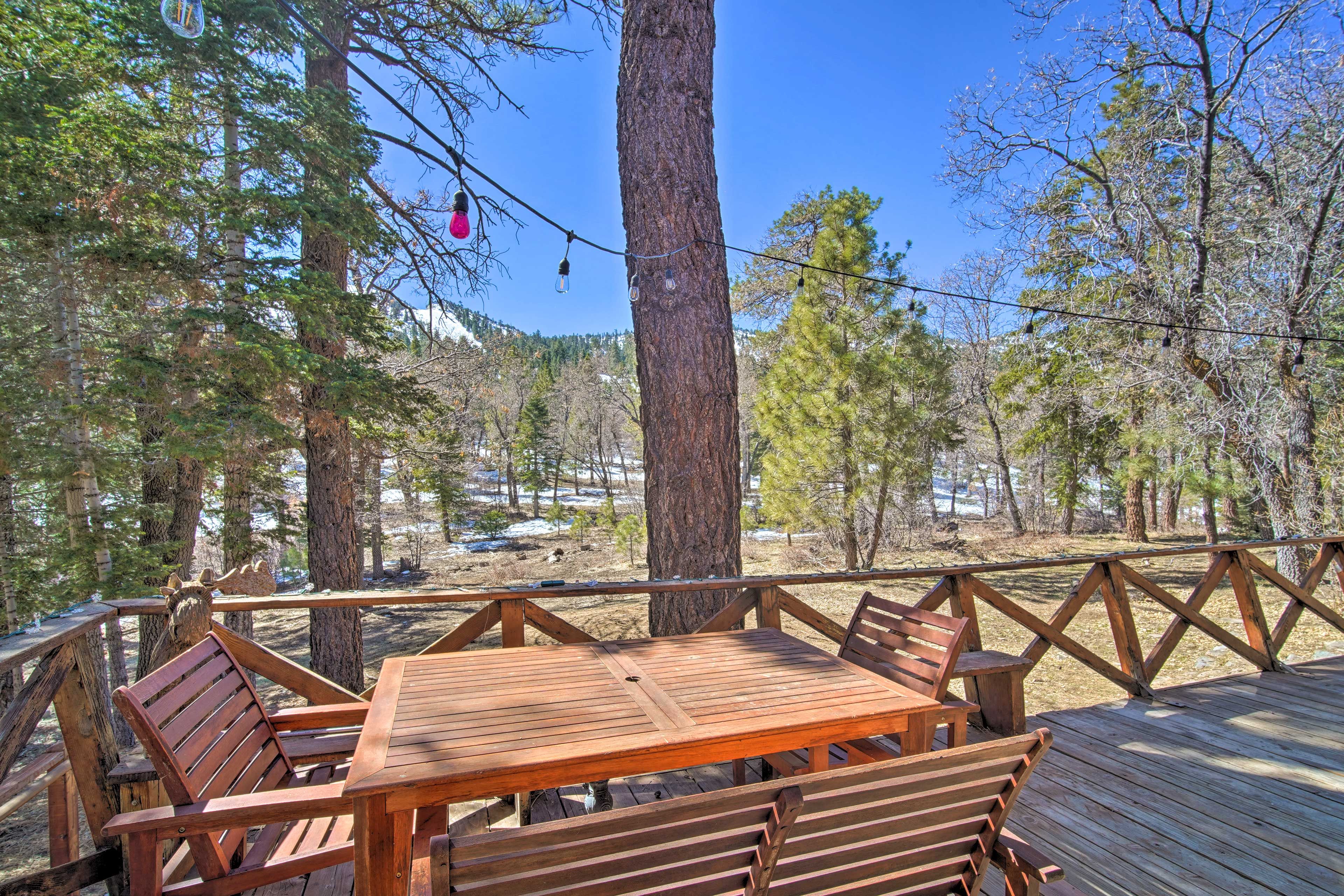 Back Deck | Gas Grill | Single-Story Cabin