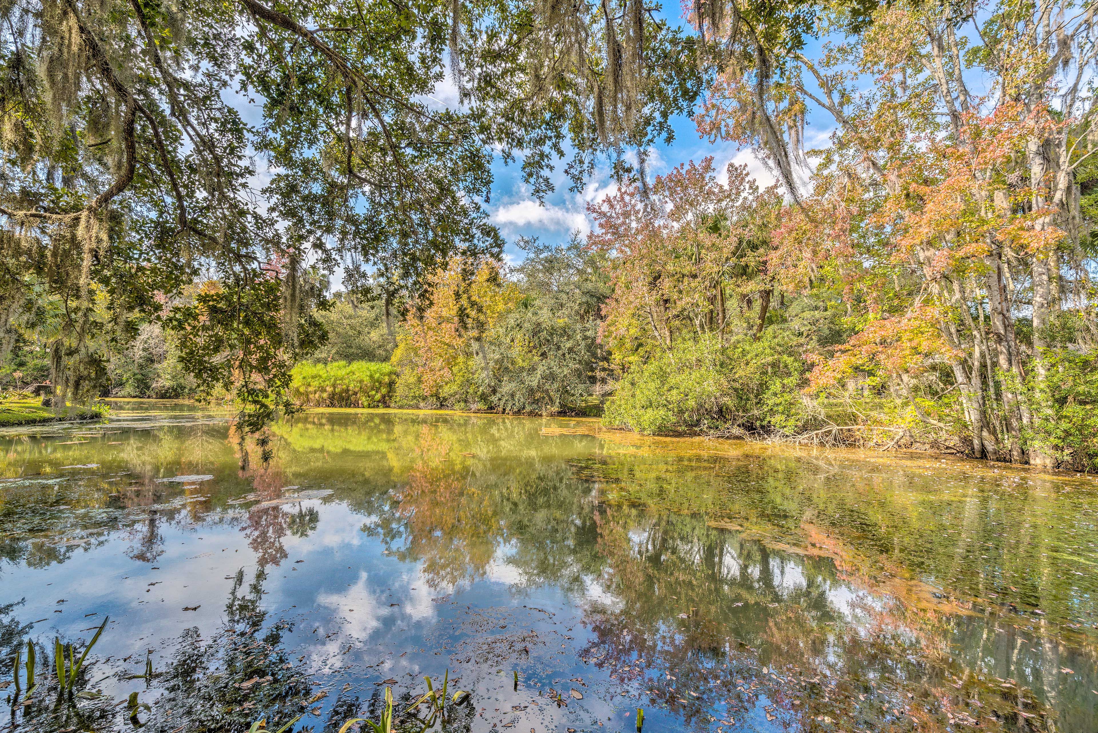 Fishing Pond