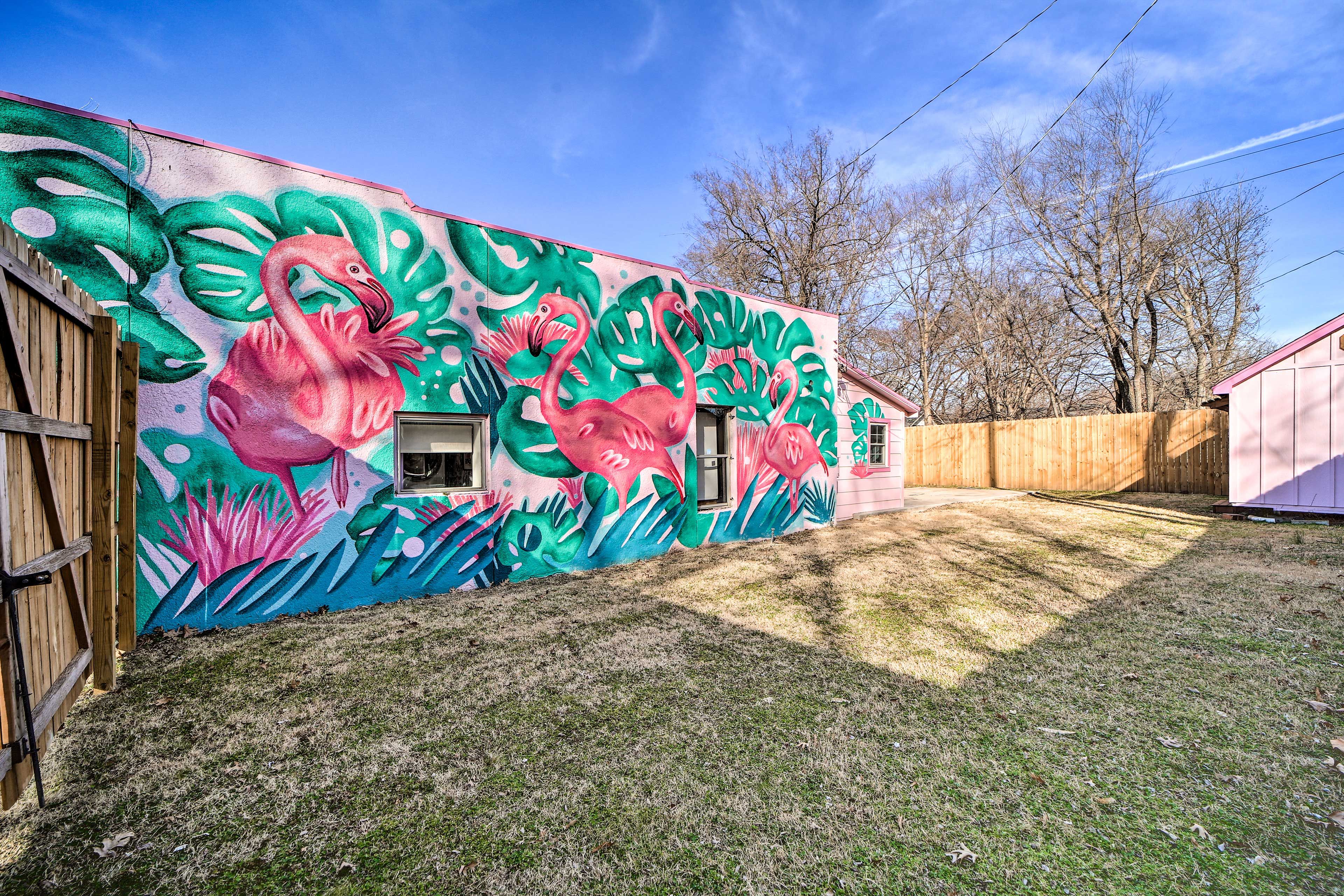 Backyard