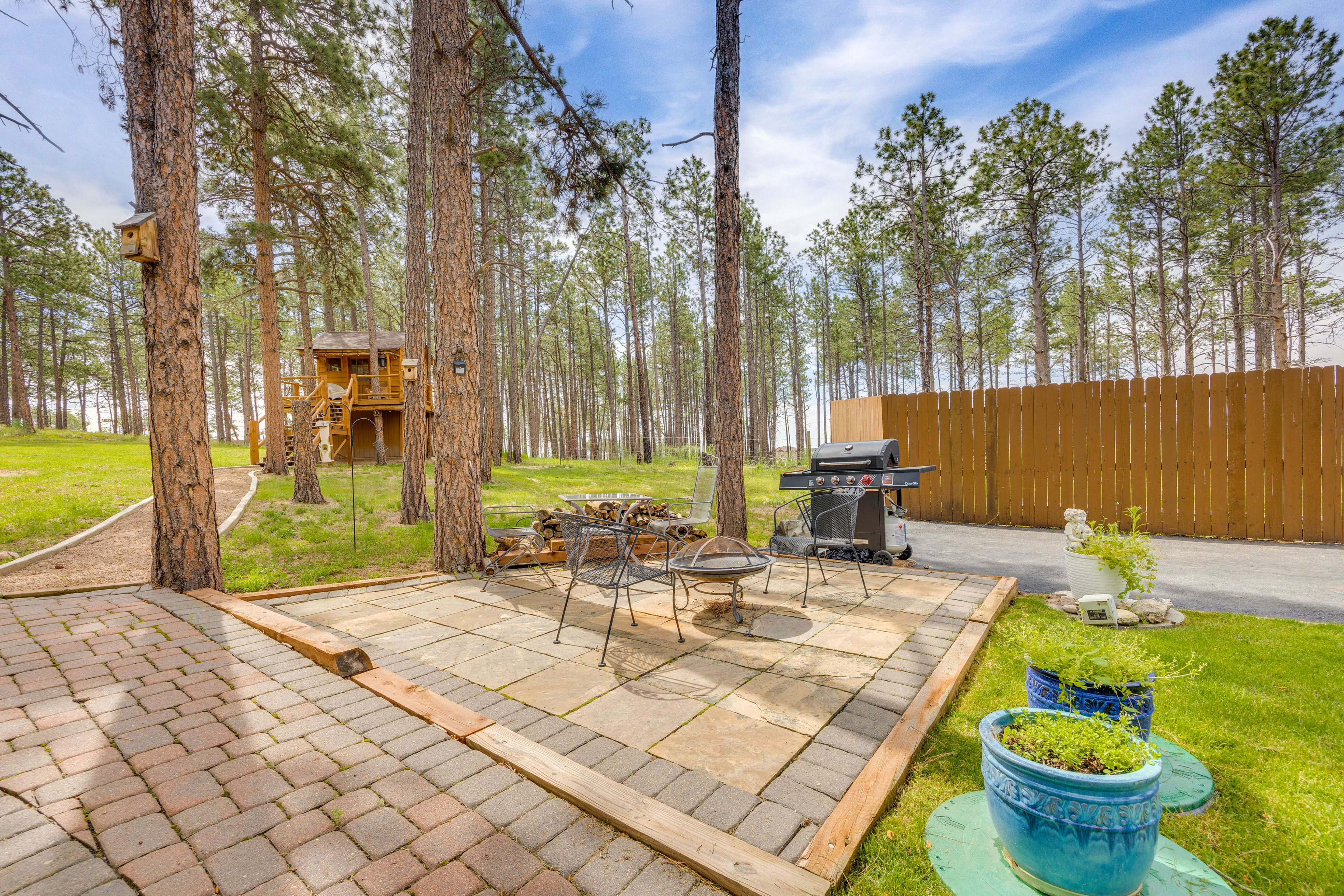 Gas Grill | Fire Pit