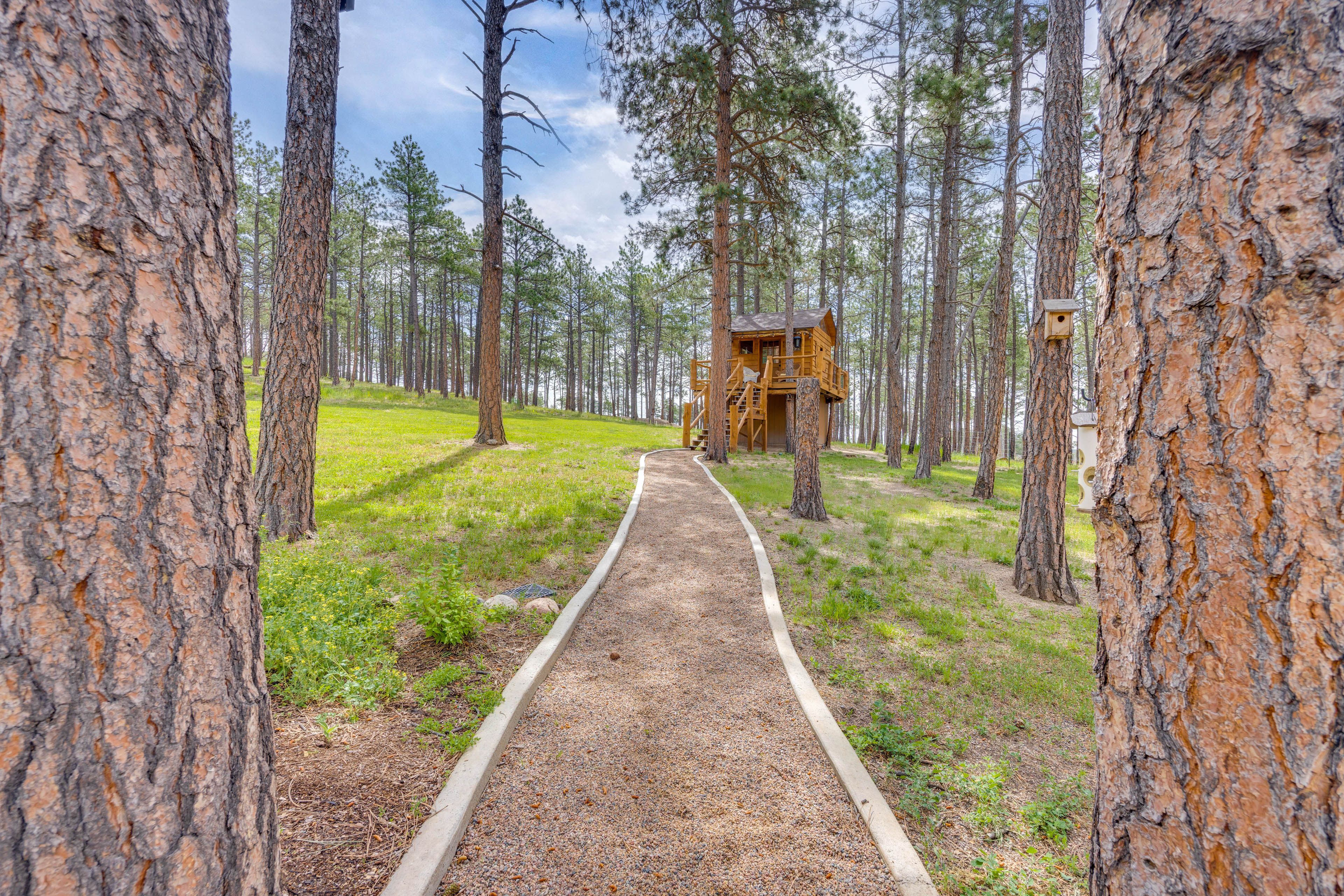 Treehouse Exterior