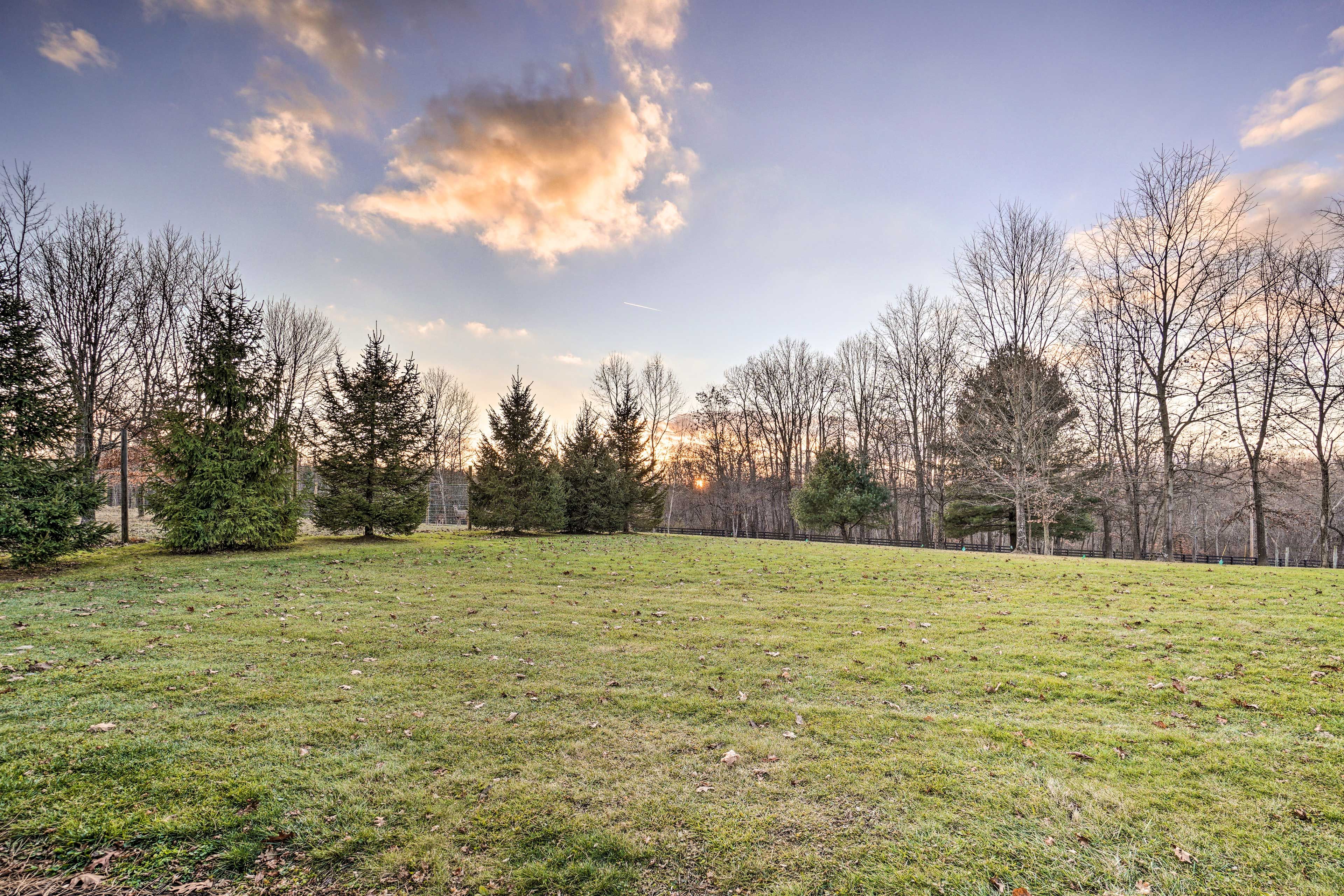 Yard | RV Hookup w/ Power Available (Fee Paid On-Site)
