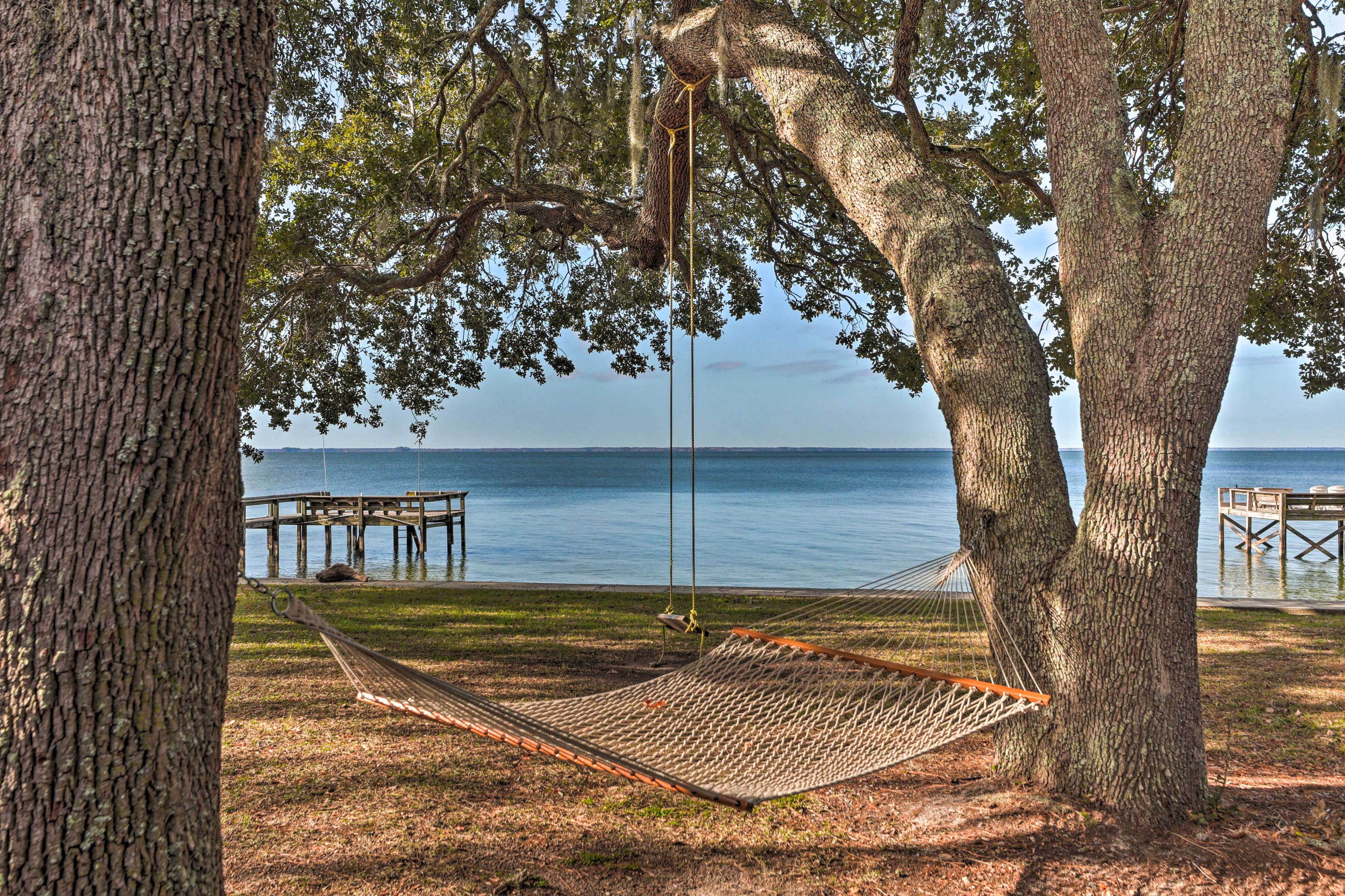 Backyard | Hammock